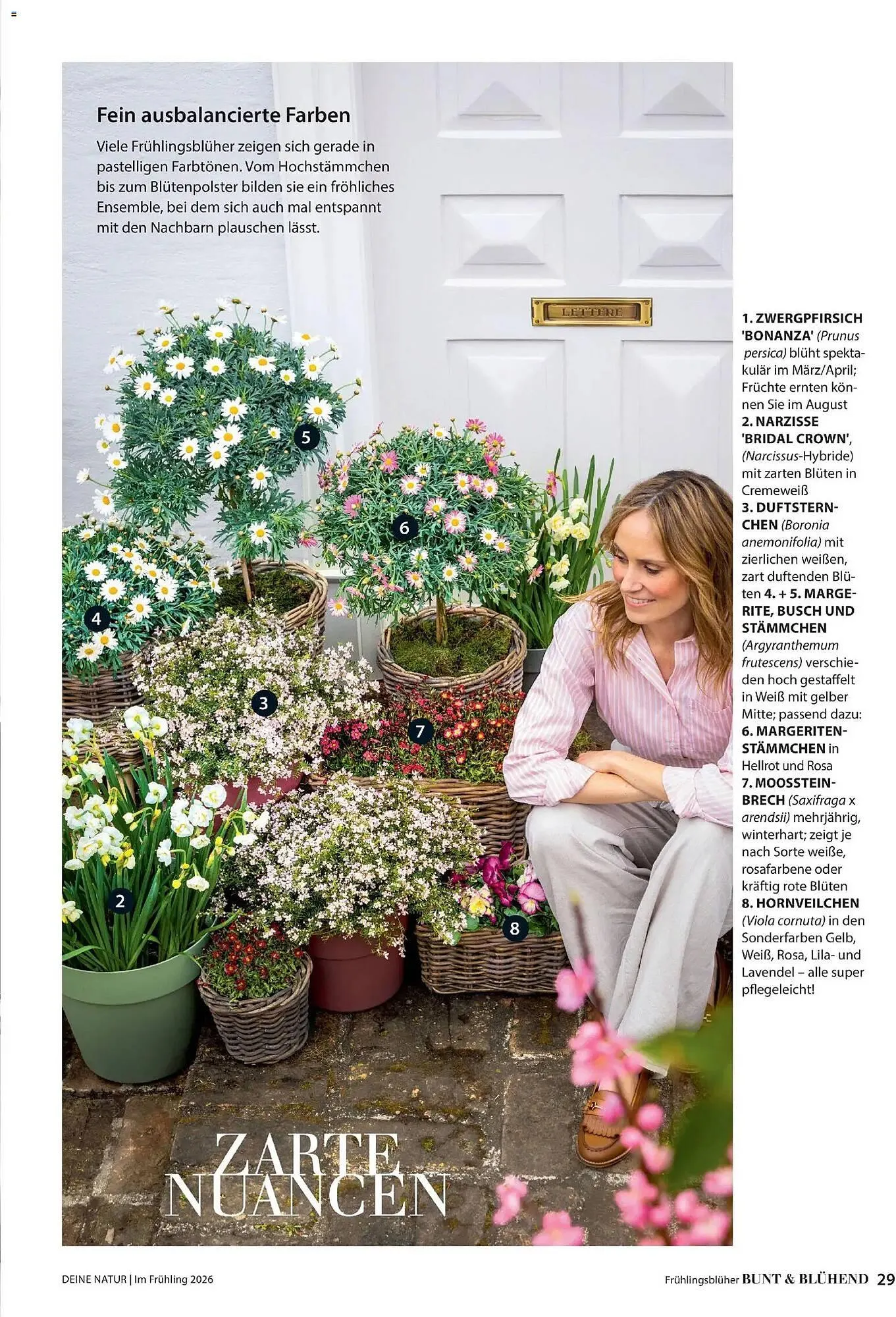 Dehner Prospekt von 4. März bis 31. Mai 2026 - Prospekt seite 29