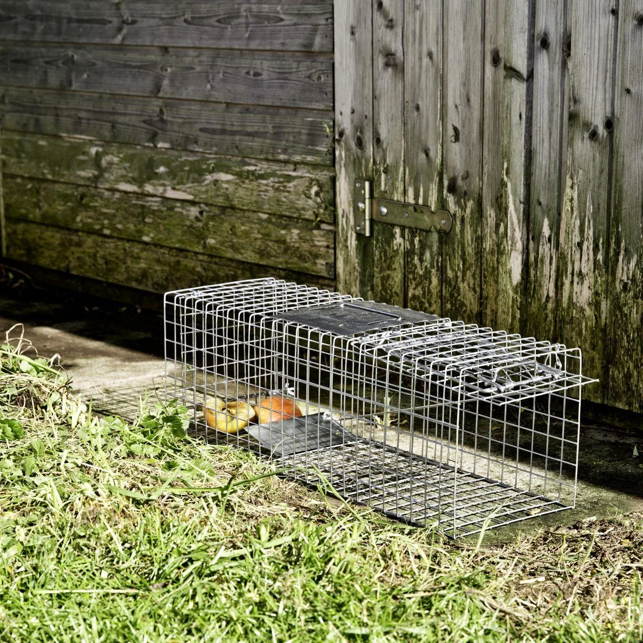 Marderfalle 60x18x20cm verzinkt