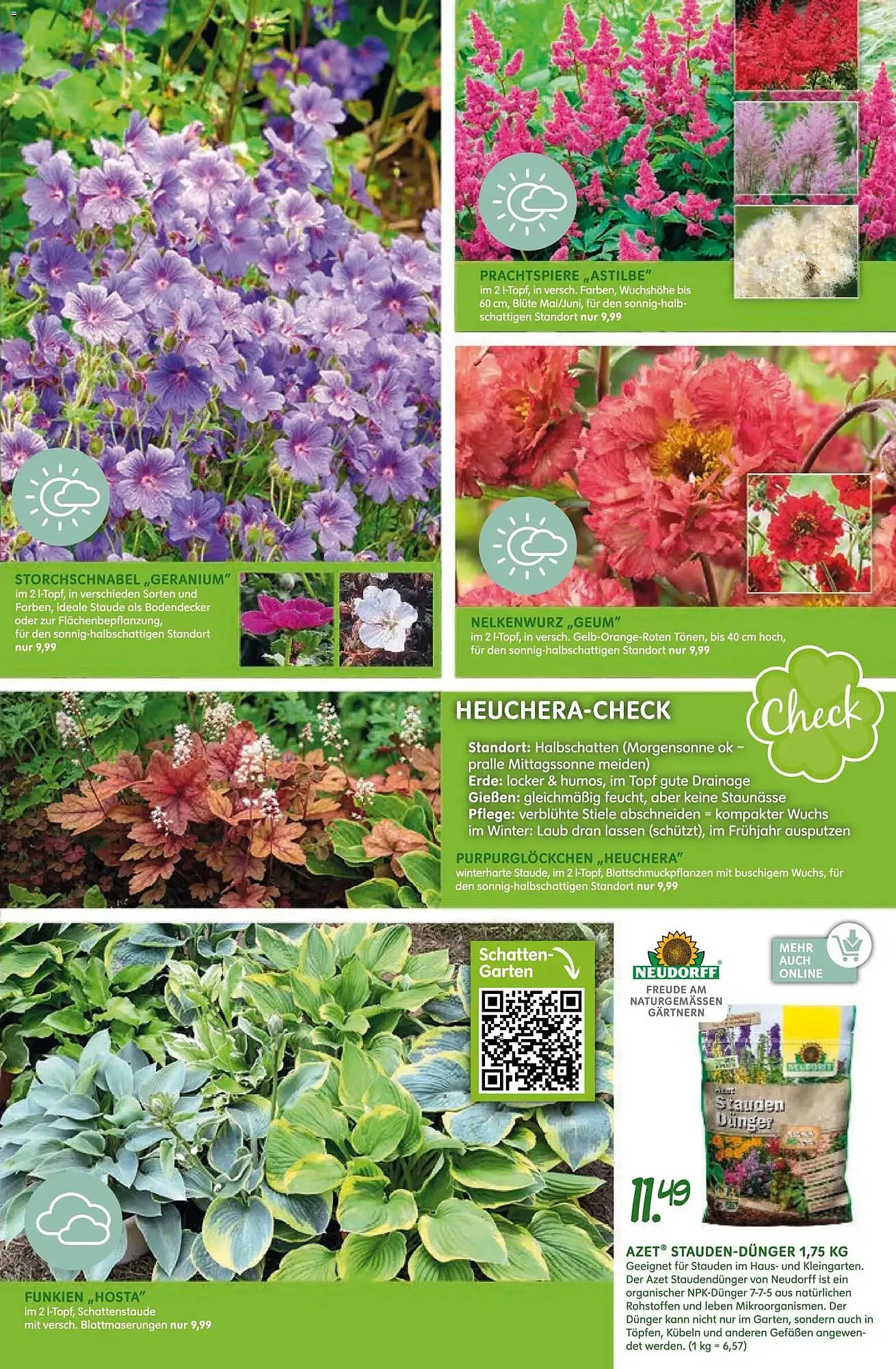 Blumen Risse Prospekt von 16. April bis 26. April 2026 - Prospekt seite 15