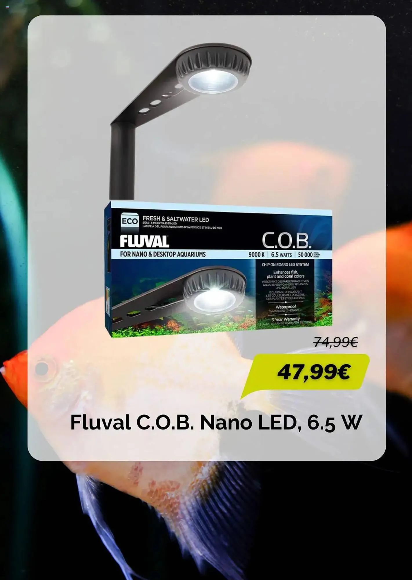 MegaZoo Prospekt von 3. März bis 3. April 2025 - Prospekt seite 6