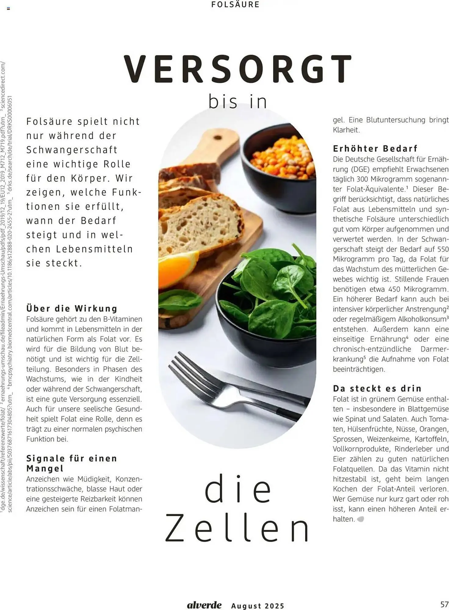 dm drogerie Prospekt von 1. August bis 31. August 2025 - Prospekt seite 57