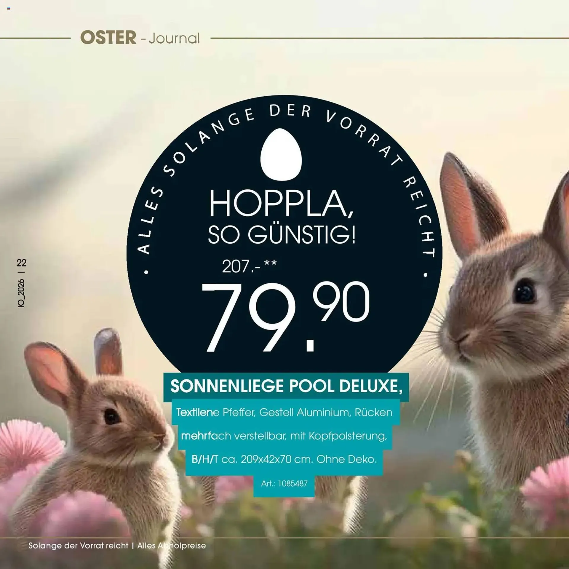 Zurbrüggen Prospekt von 23. März bis 11. April 2026 - Prospekt seite 22