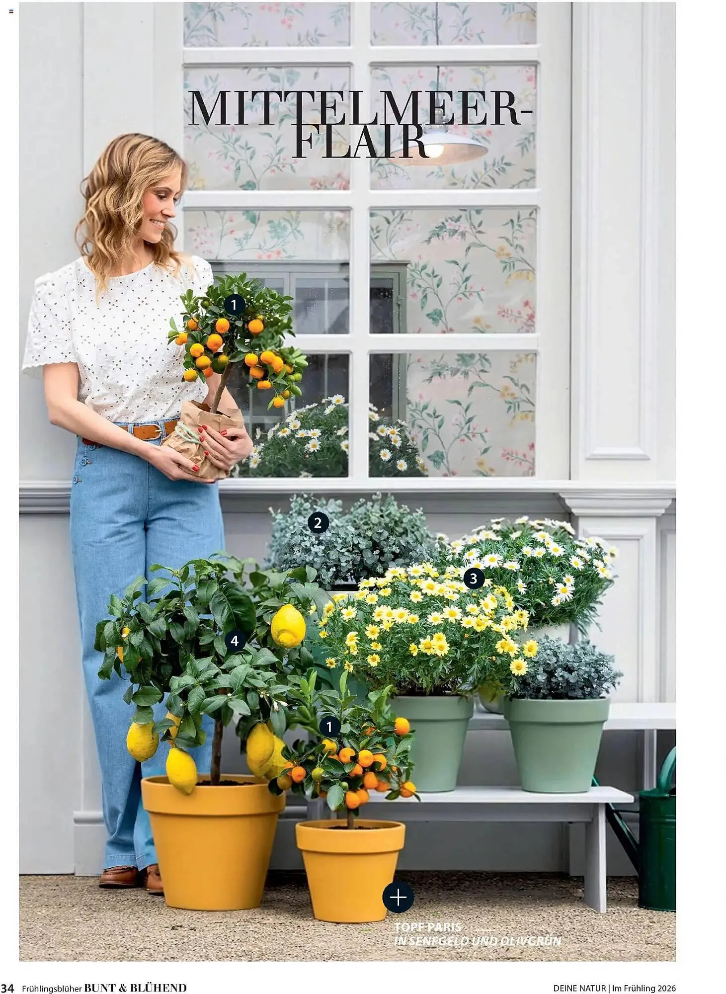 Dehner Prospekt von 4. März bis 31. Mai 2026 - Prospekt seite 34