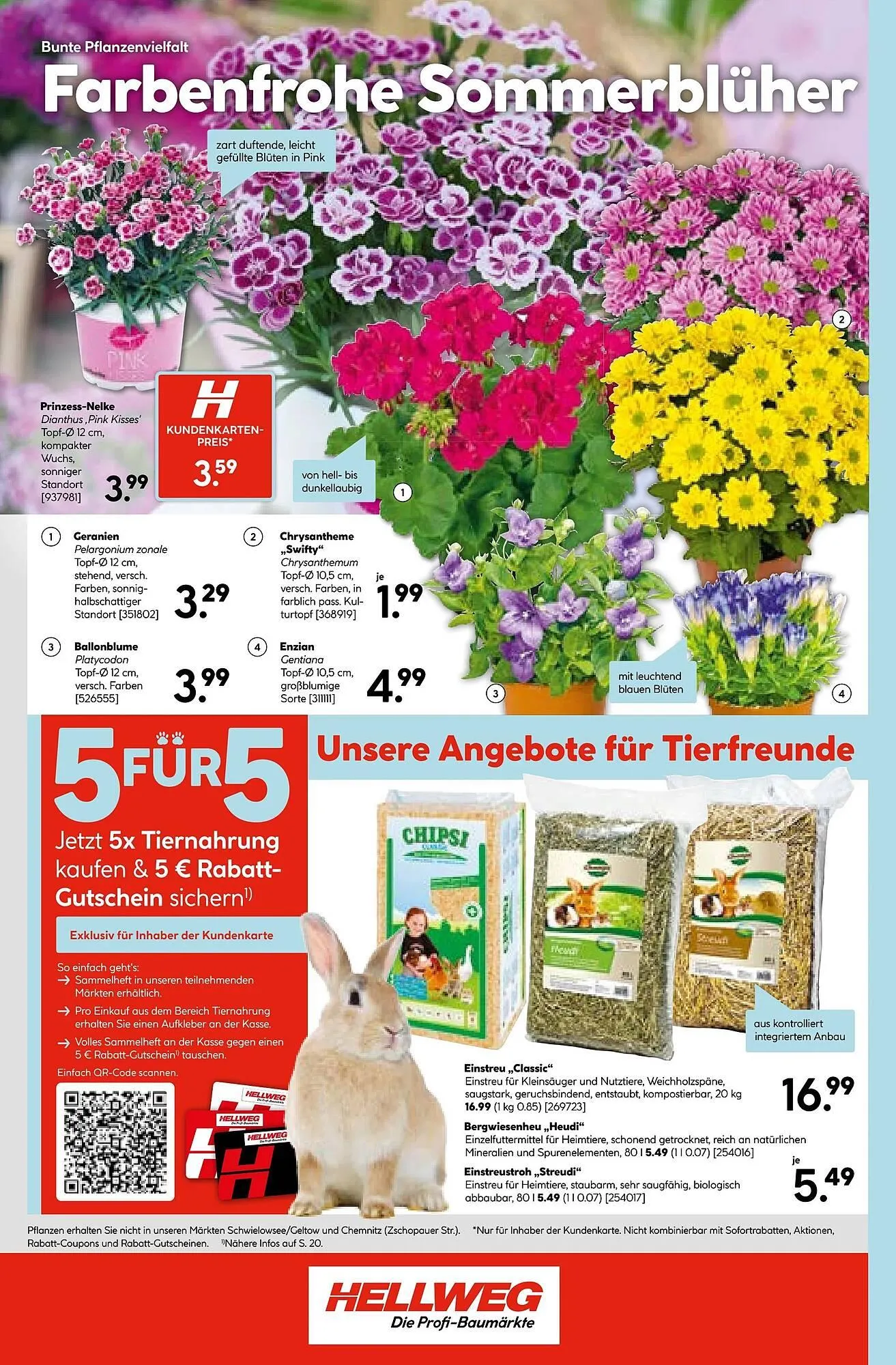 Hellweg Prospekt von 30. Juni bis 5. Juli 2025 - Prospekt seite 24