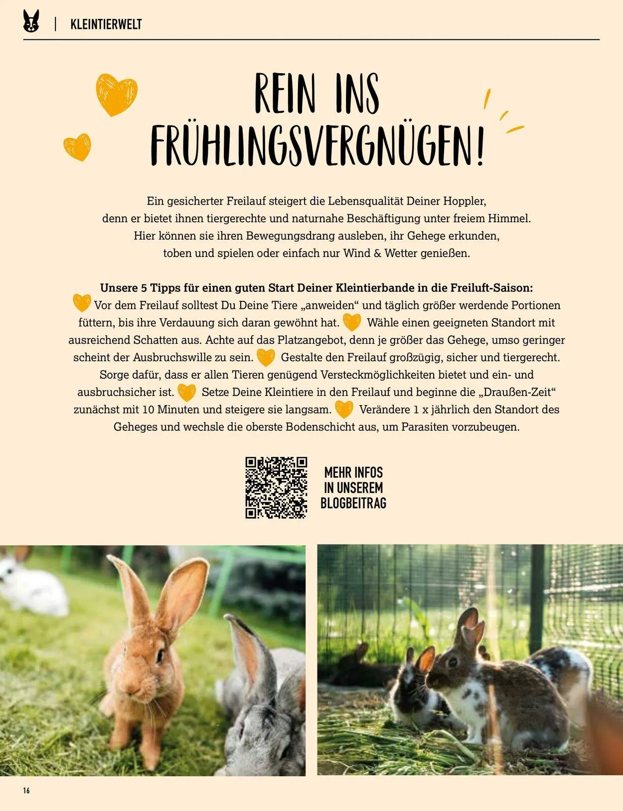 Kölle Zoo Aktueller Prospekt von 2. April bis 16. April 2025 - Prospekt seite 16