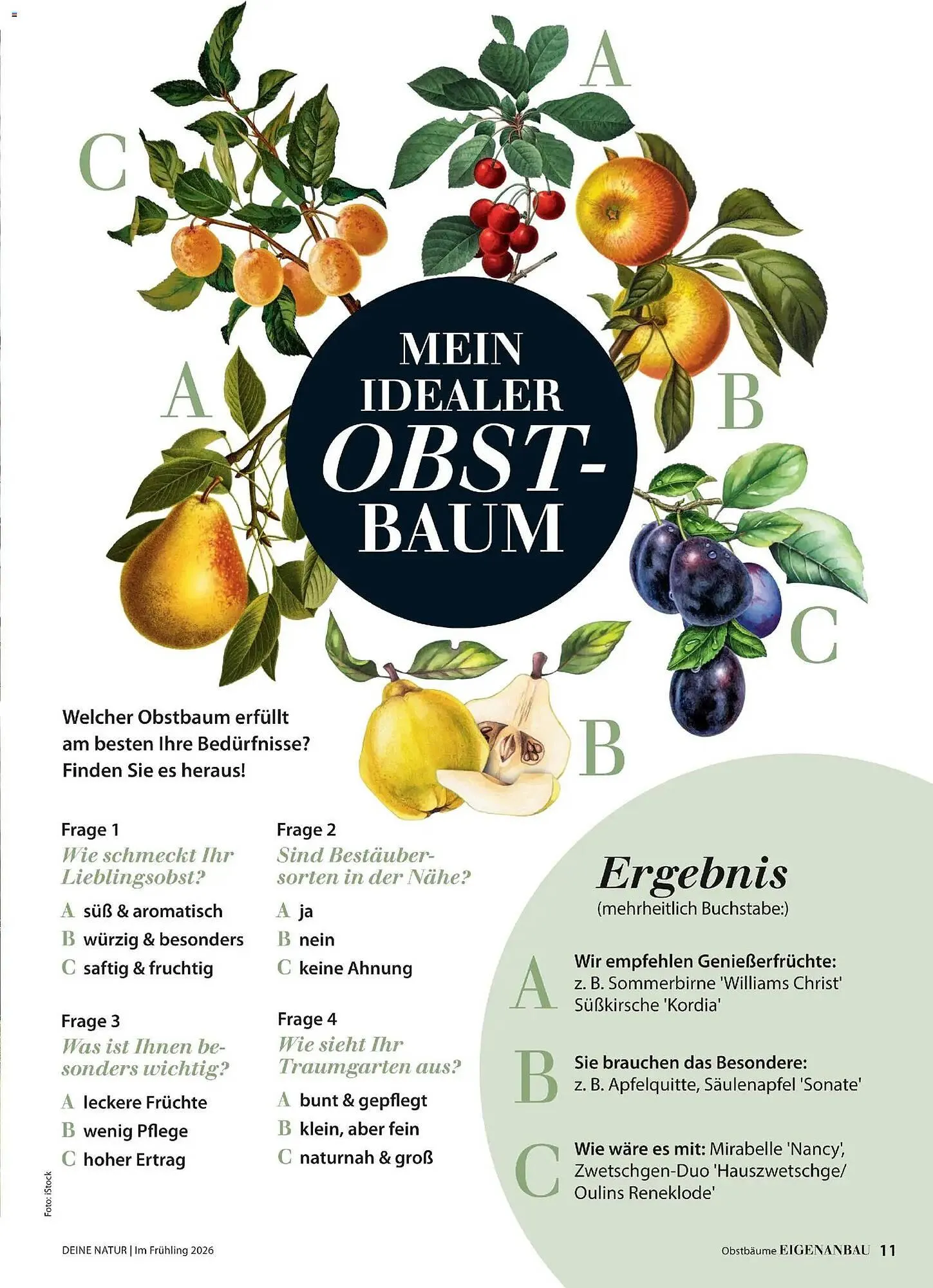 Dehner Prospekt von 4. März bis 31. Mai 2026 - Prospekt seite 11