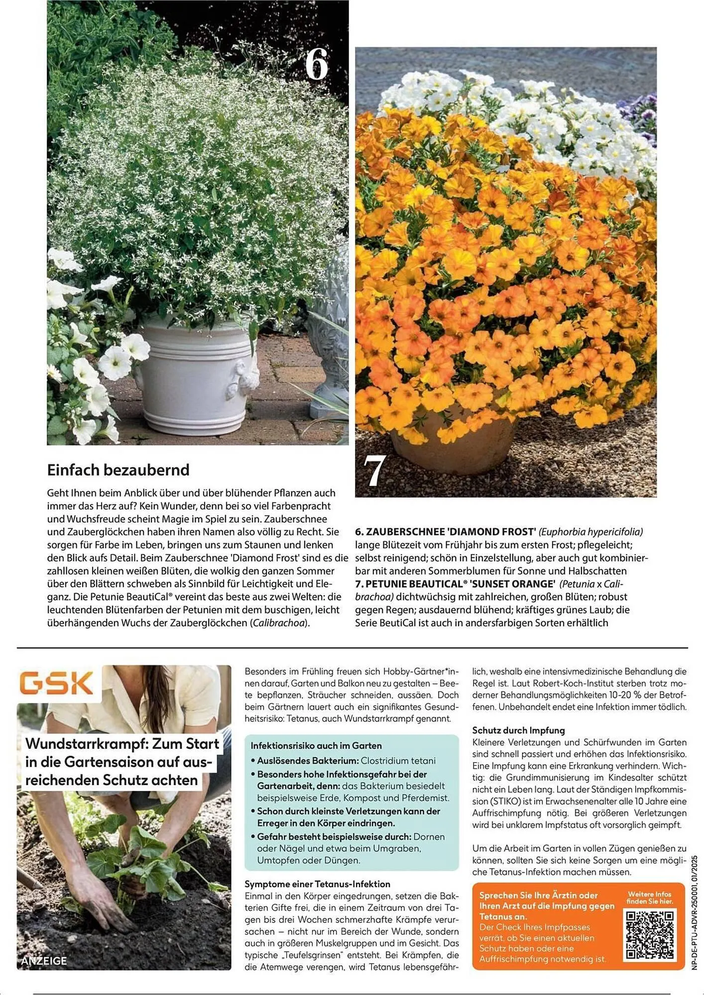 Dehner Prospekt von 1. Juli bis 31. Dezember 2025 - Prospekt seite 25