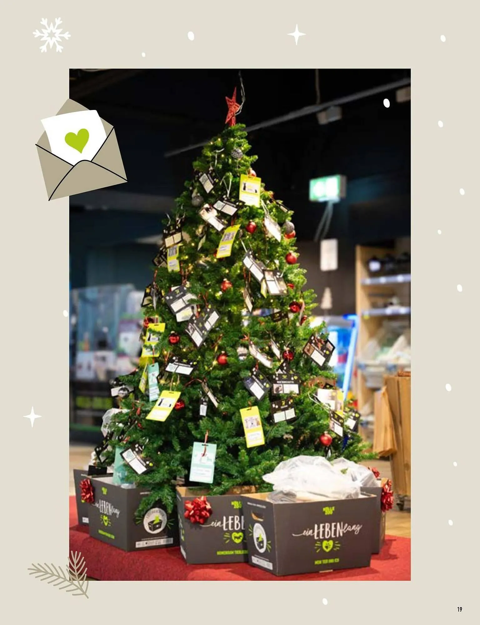 Kölle Zoo Prospekt von 24. Oktober bis 6. November 2025 - Prospekt seite 19