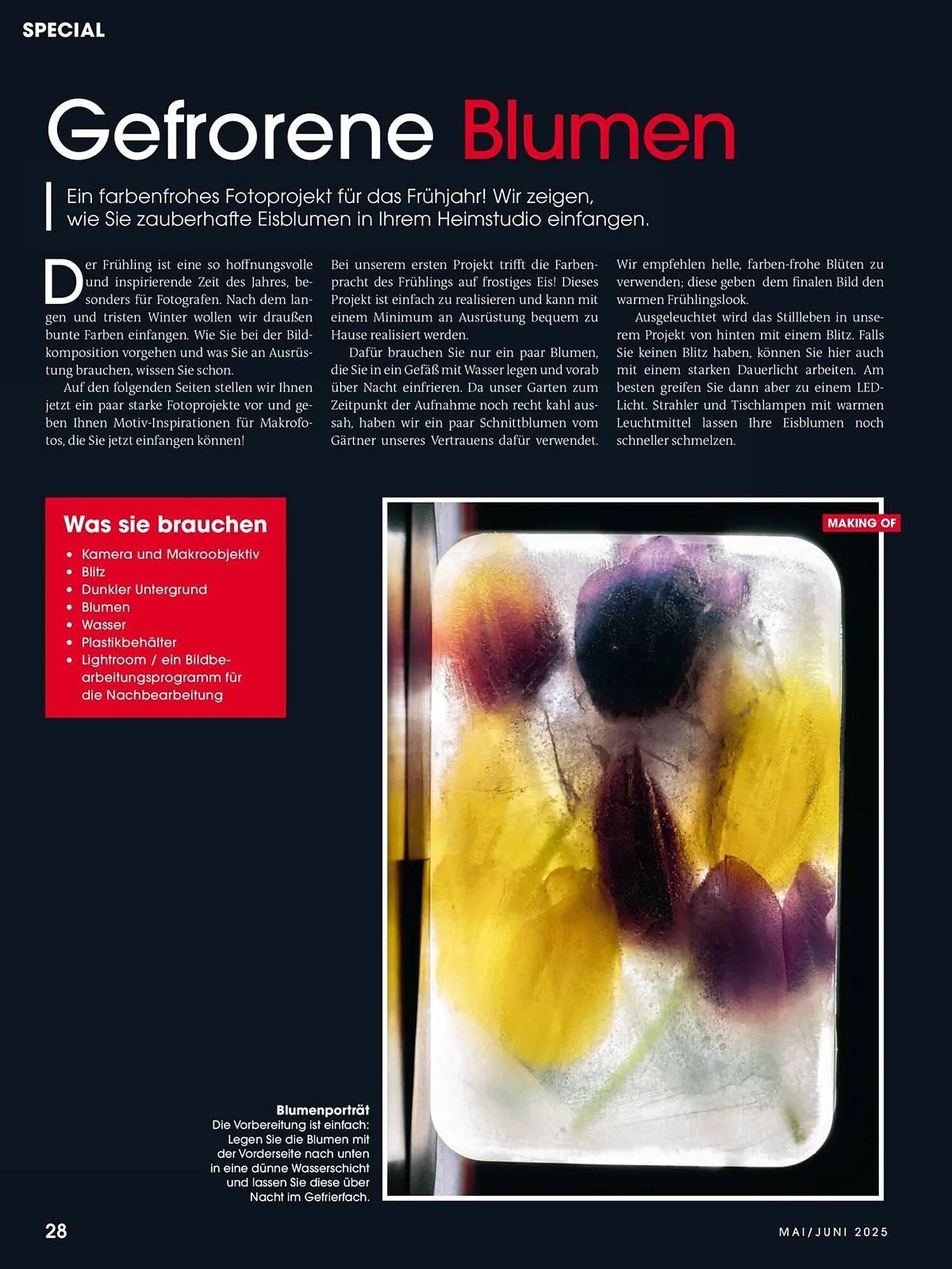 Ringfoto Prospekt von 22. Mai bis 30. Juni 2025 - Prospekt seite 28