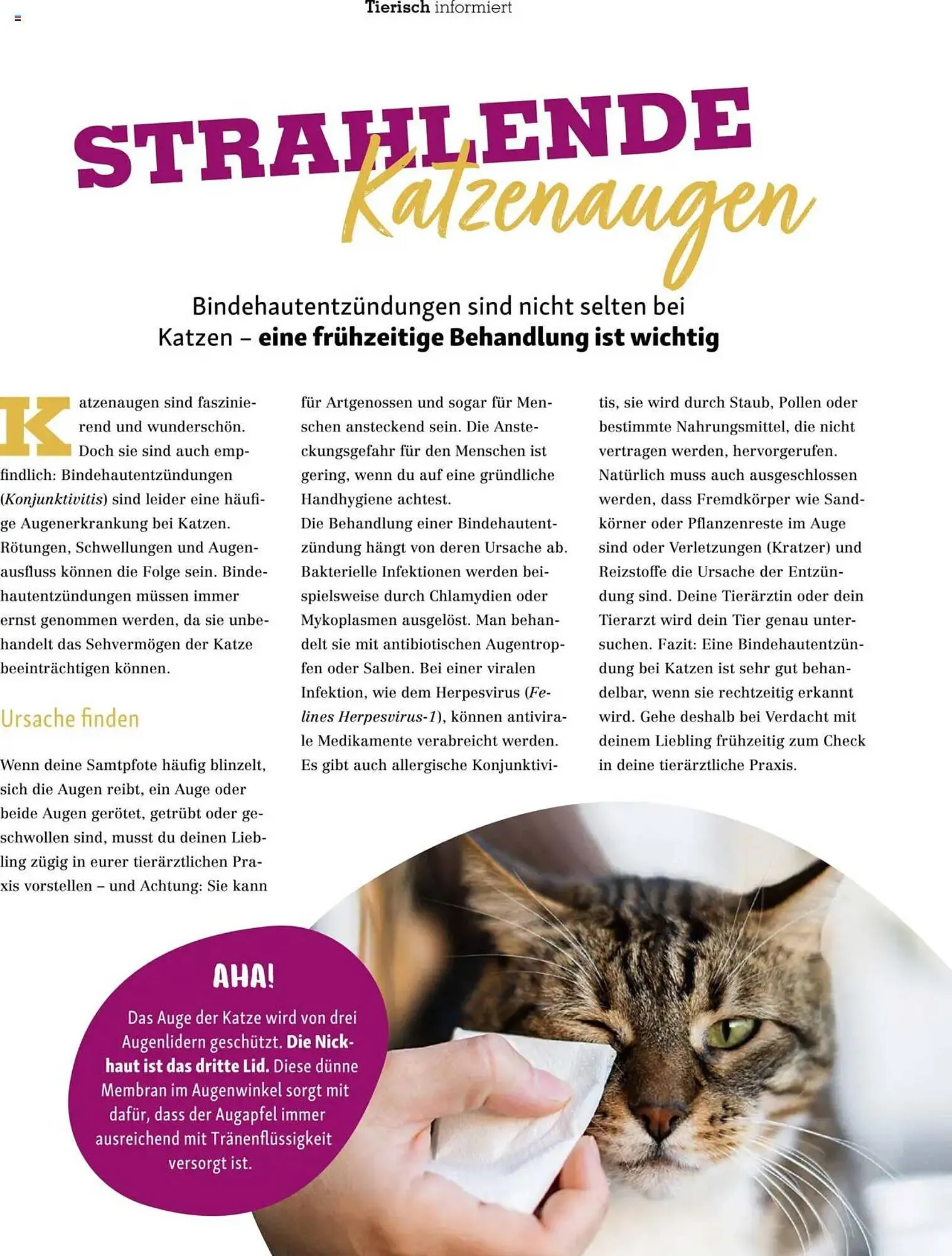 Fressnapf Prospekt von 1. März bis 30. April 2025 - Prospekt seite 25