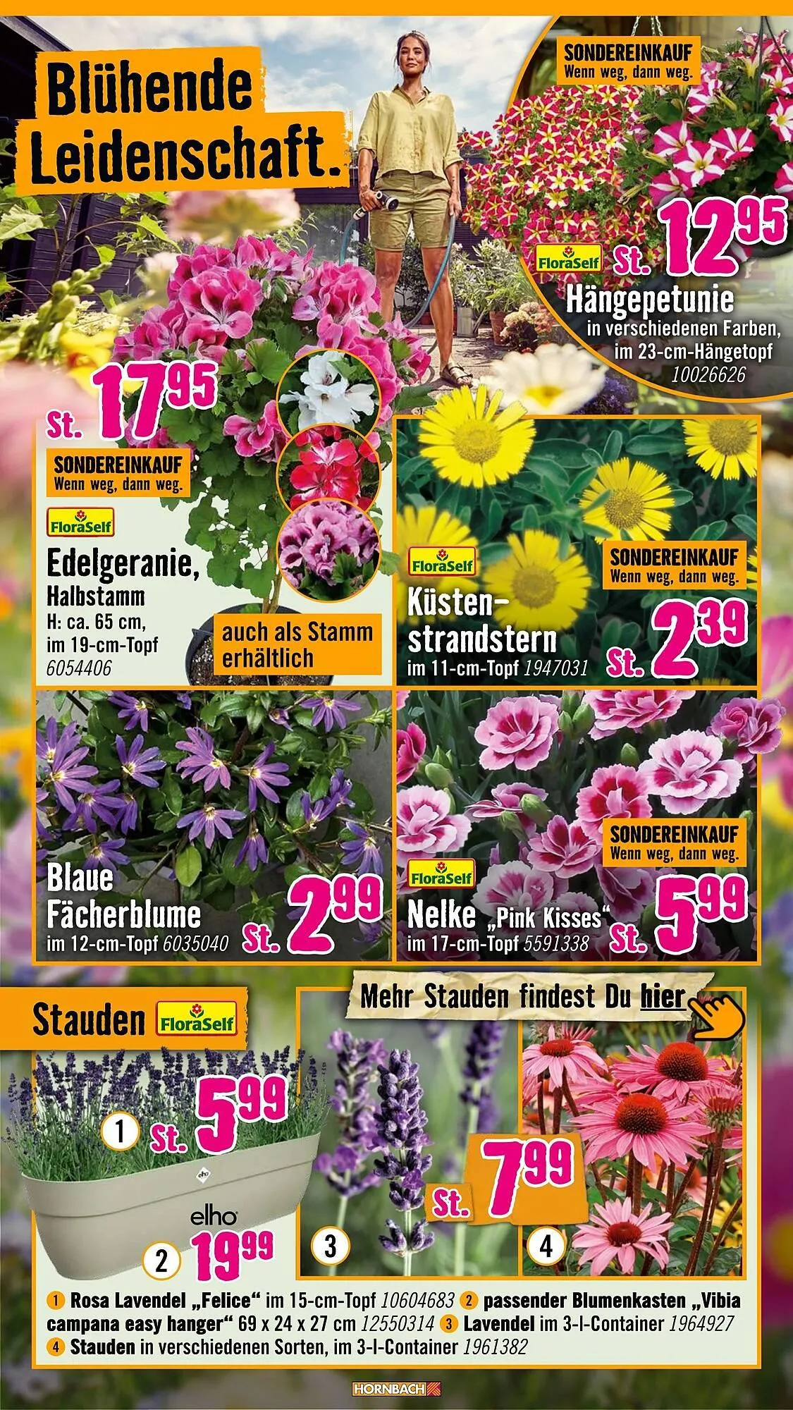 Hornbach Prospekt von 6. Mai bis 3. Juni 2026 - Prospekt seite 10