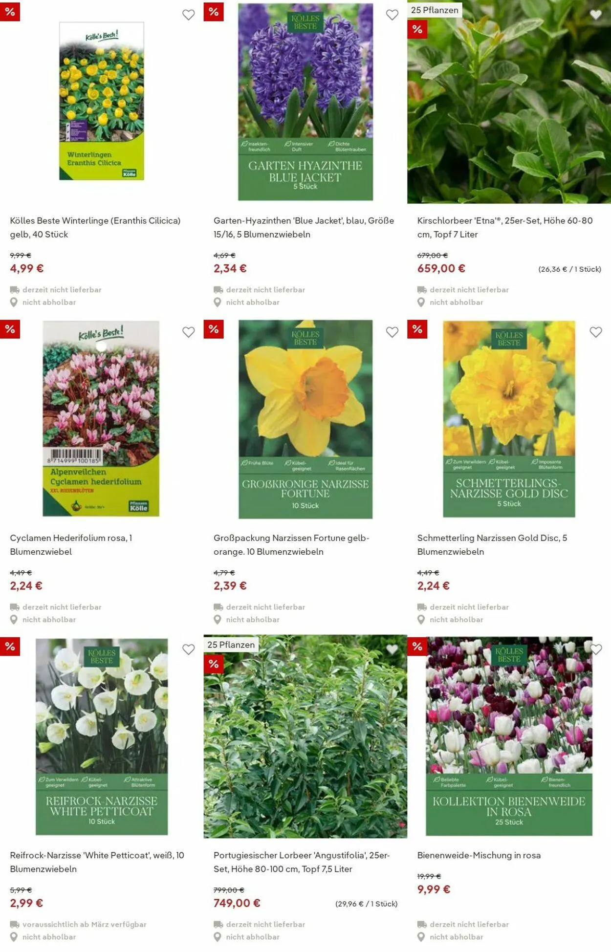 Pflanzen-Kölle Aktueller Prospekt von 15. Dezember bis 24. Dezember 2025 - Prospekt seite 74