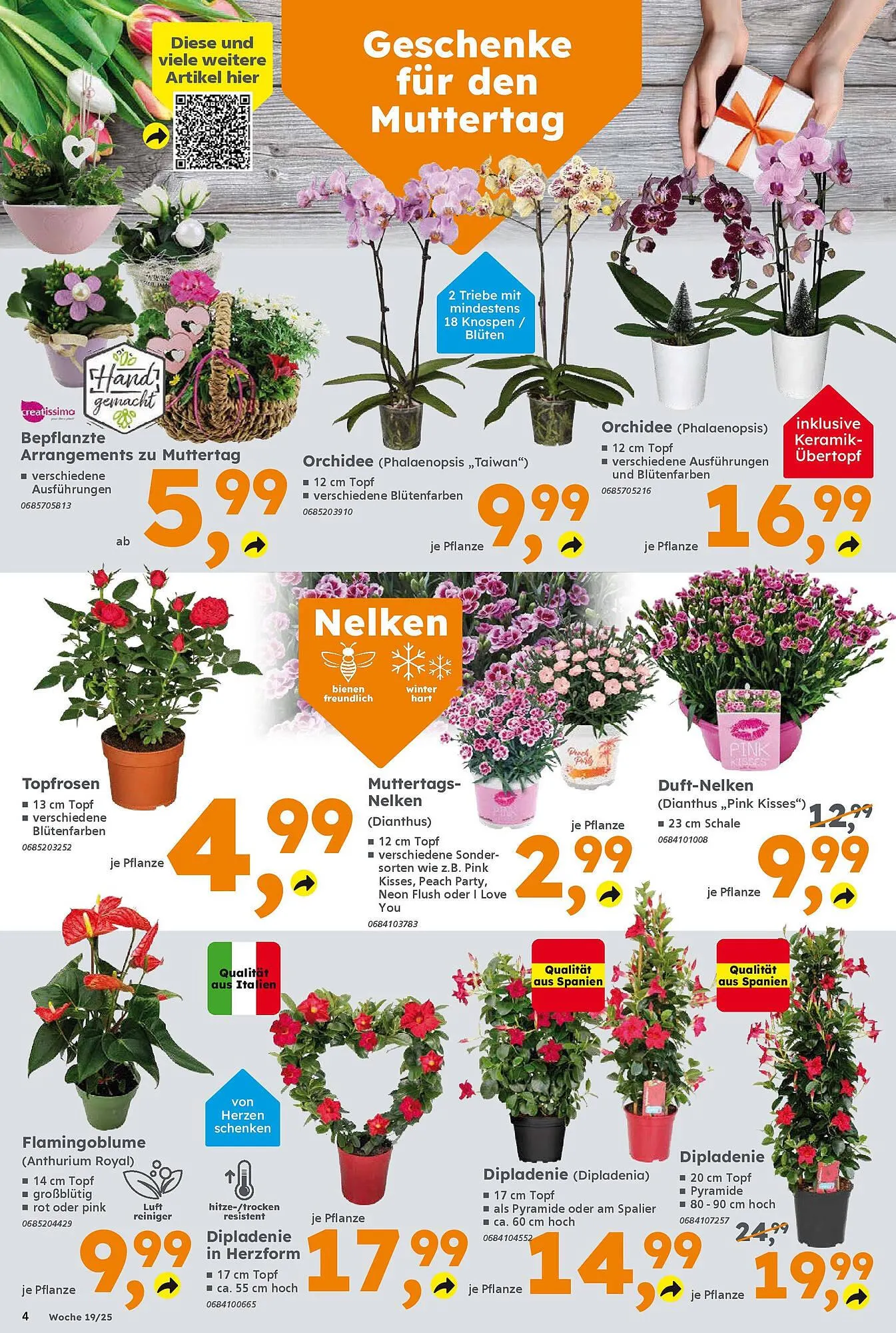 Globus Baumarkt Prospekt von 4. Mai bis 10. Mai 2025 - Prospekt seite 4