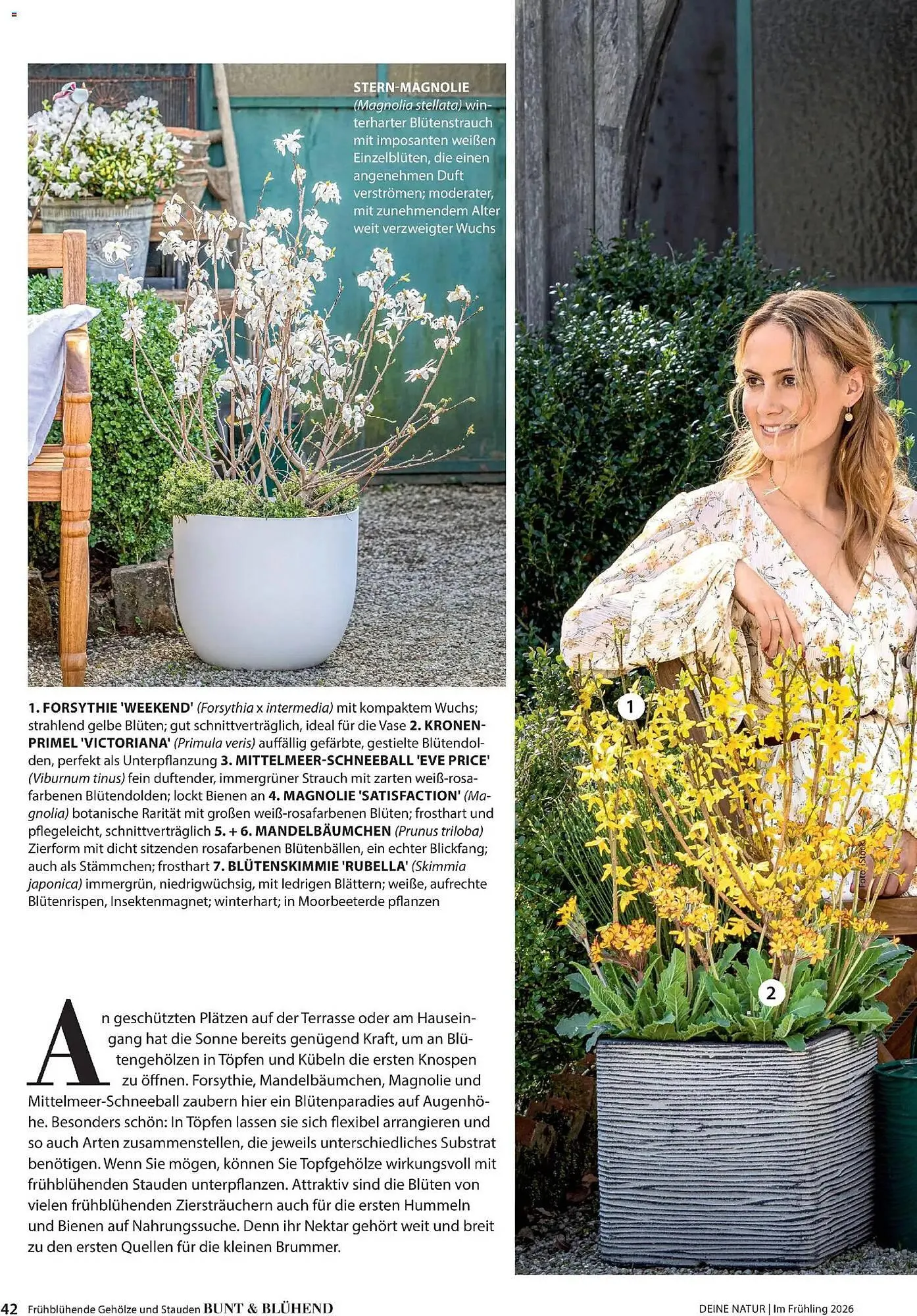 Dehner Prospekt von 4. März bis 31. Mai 2026 - Prospekt seite 42