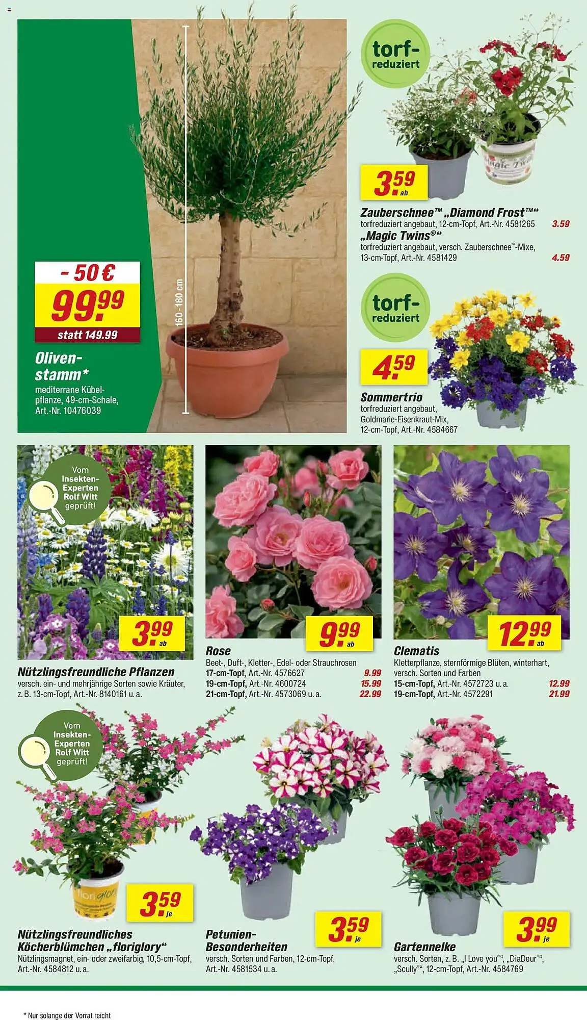 Toom Baumarkt Prospekt von 2. Mai bis 8. Mai 2026 - Prospekt seite 8