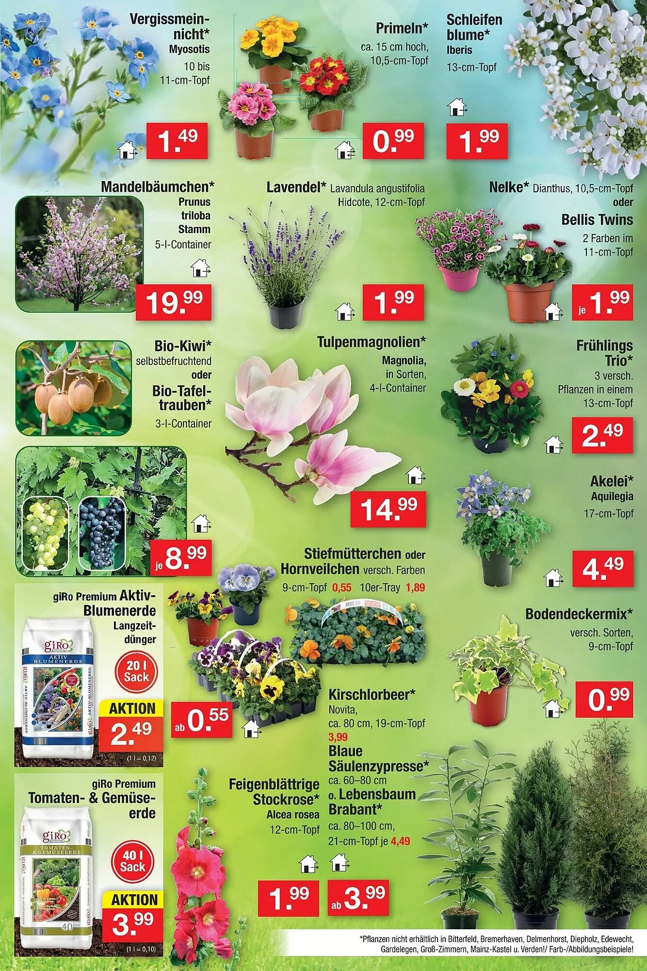 Zimmermann Prospekt von 9. März bis 14. März 2026 - Prospekt seite 16