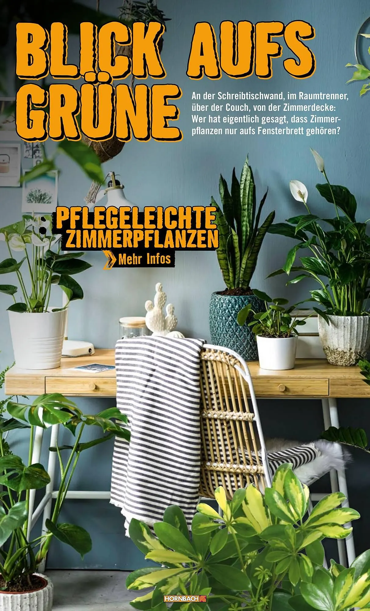 Hornbach Prospekt von 1. Januar bis 31. März 2025 - Prospekt seite 50