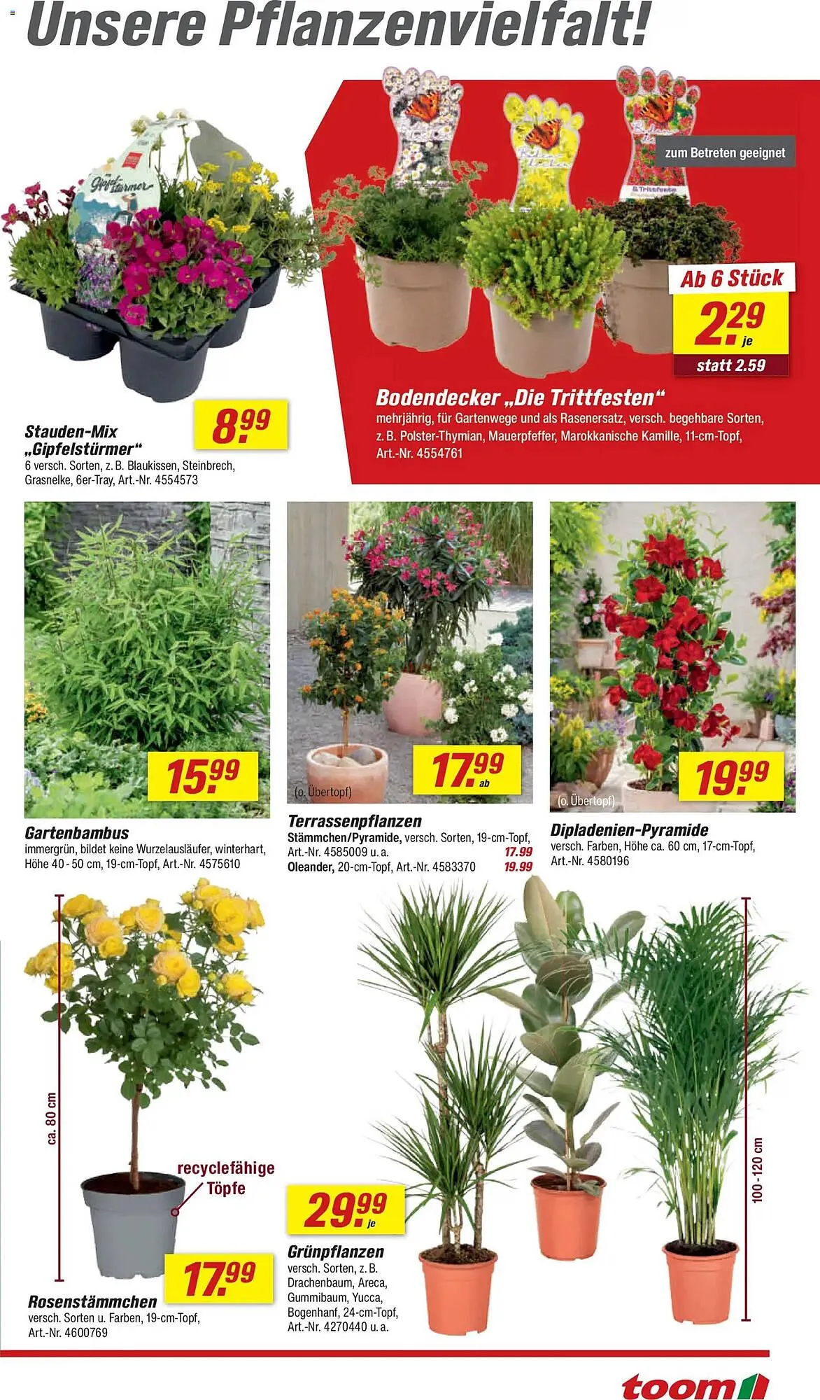 Toom Baumarkt Prospekt von 4. April bis 10. April 2026 - Prospekt seite 9