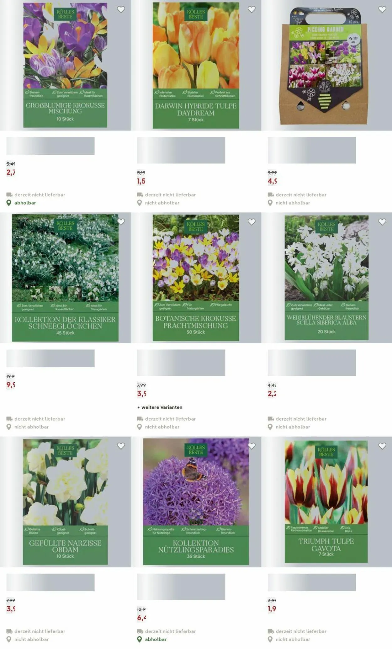 Pflanzen-Kölle Aktueller Prospekt von 15. Dezember bis 24. Dezember 2025 - Prospekt seite 23