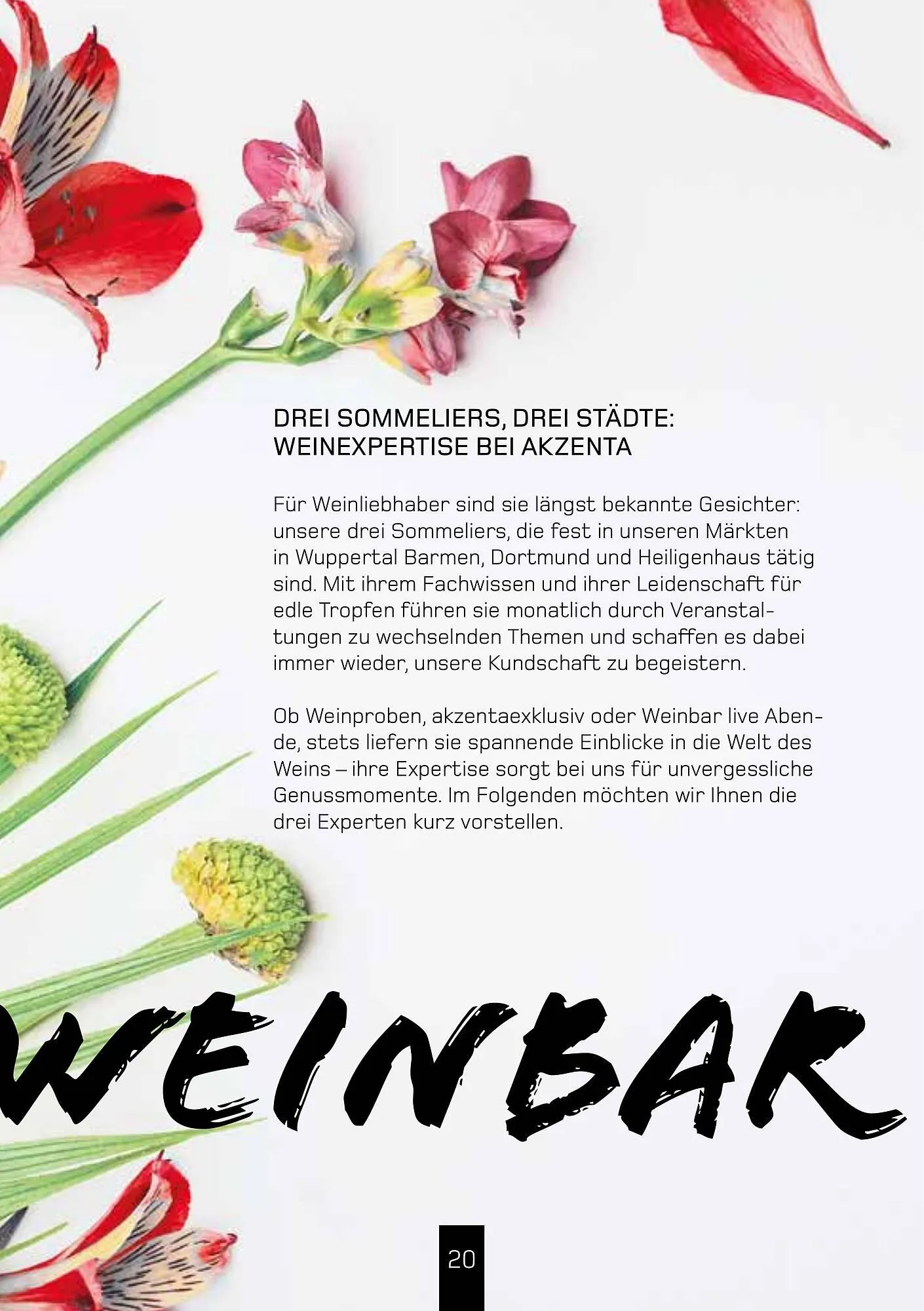 akzenta Prospekt von 1. April bis 30. Juni 2025 - Prospekt seite 20