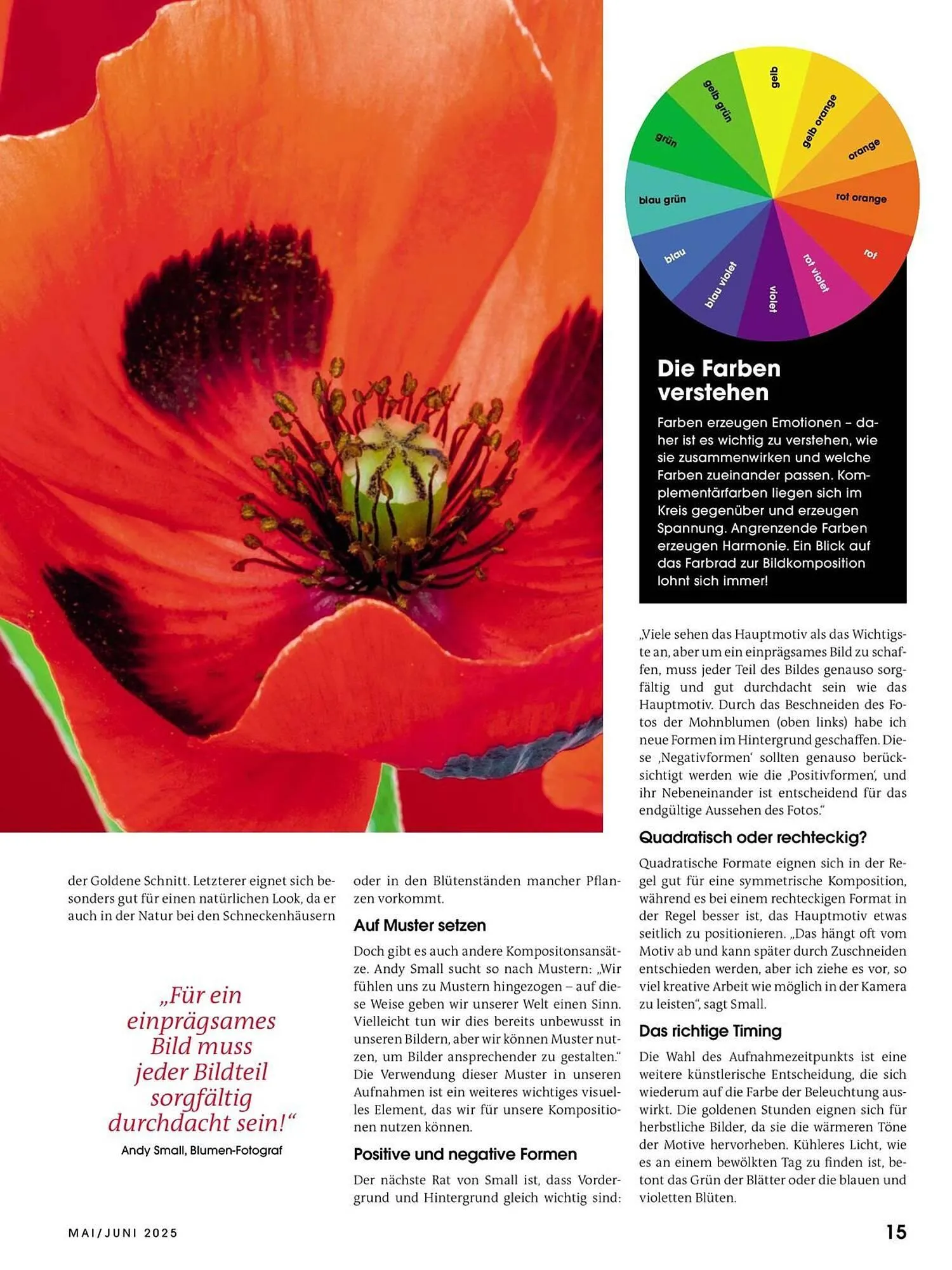 Ringfoto Prospekt von 22. Mai bis 30. Juni 2025 - Prospekt seite 15