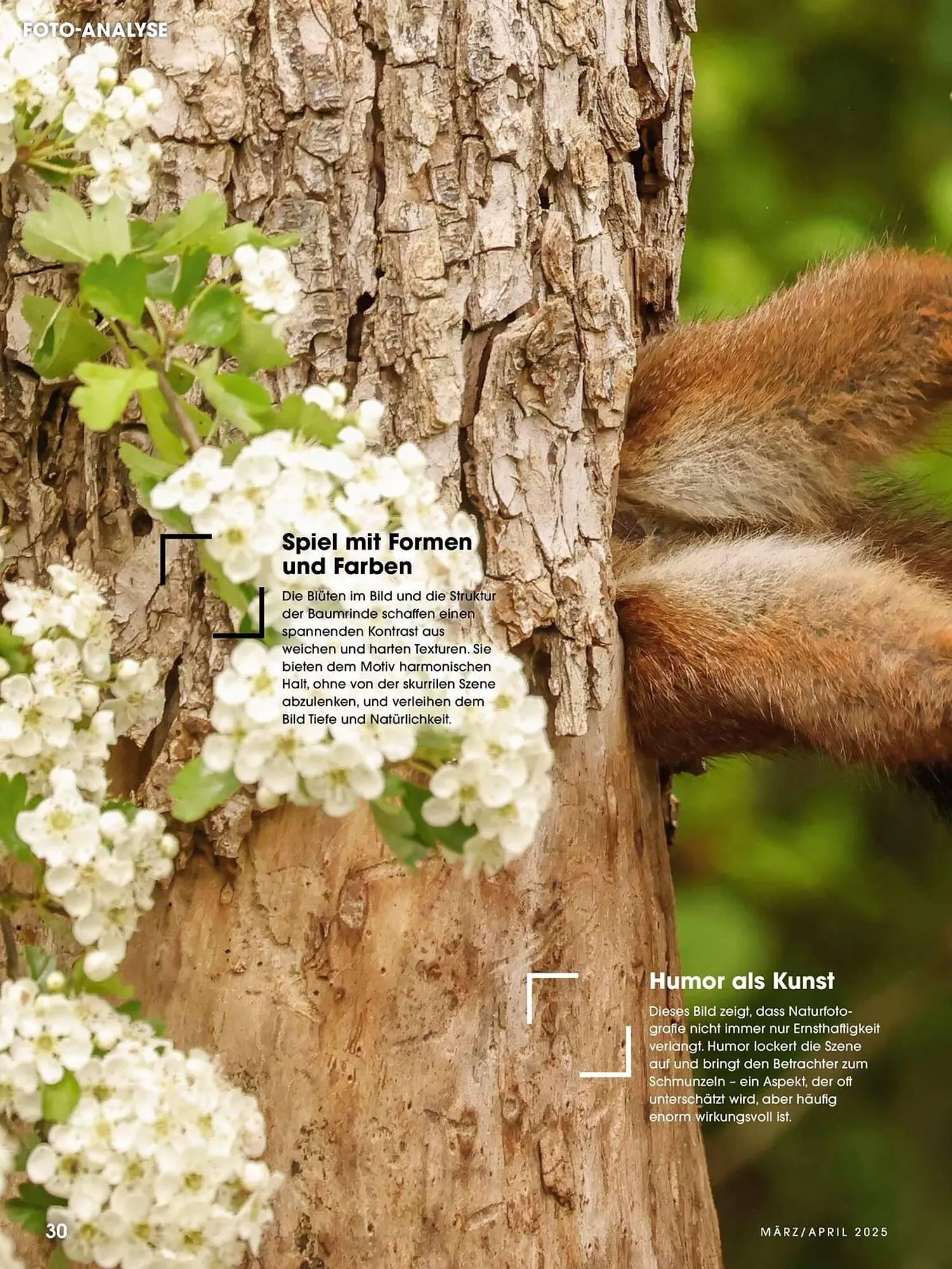 Ringfoto Prospekt von 1. März bis 30. April 2025 - Prospekt seite 30