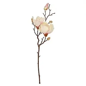 Magnolien-Zweig, 50 cm