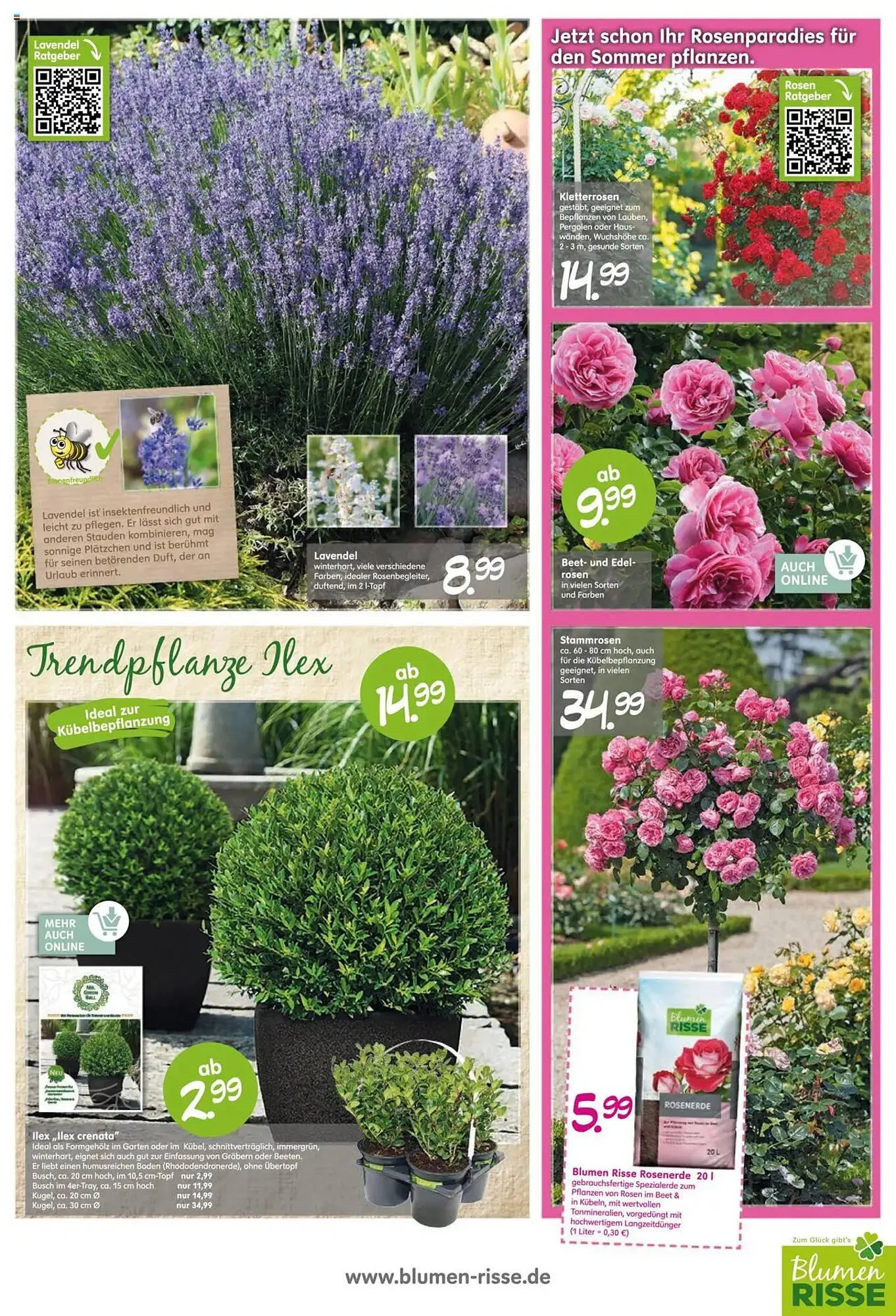 Blumen Risse Prospekt von 27. März bis 6. April 2025 - Prospekt seite 7