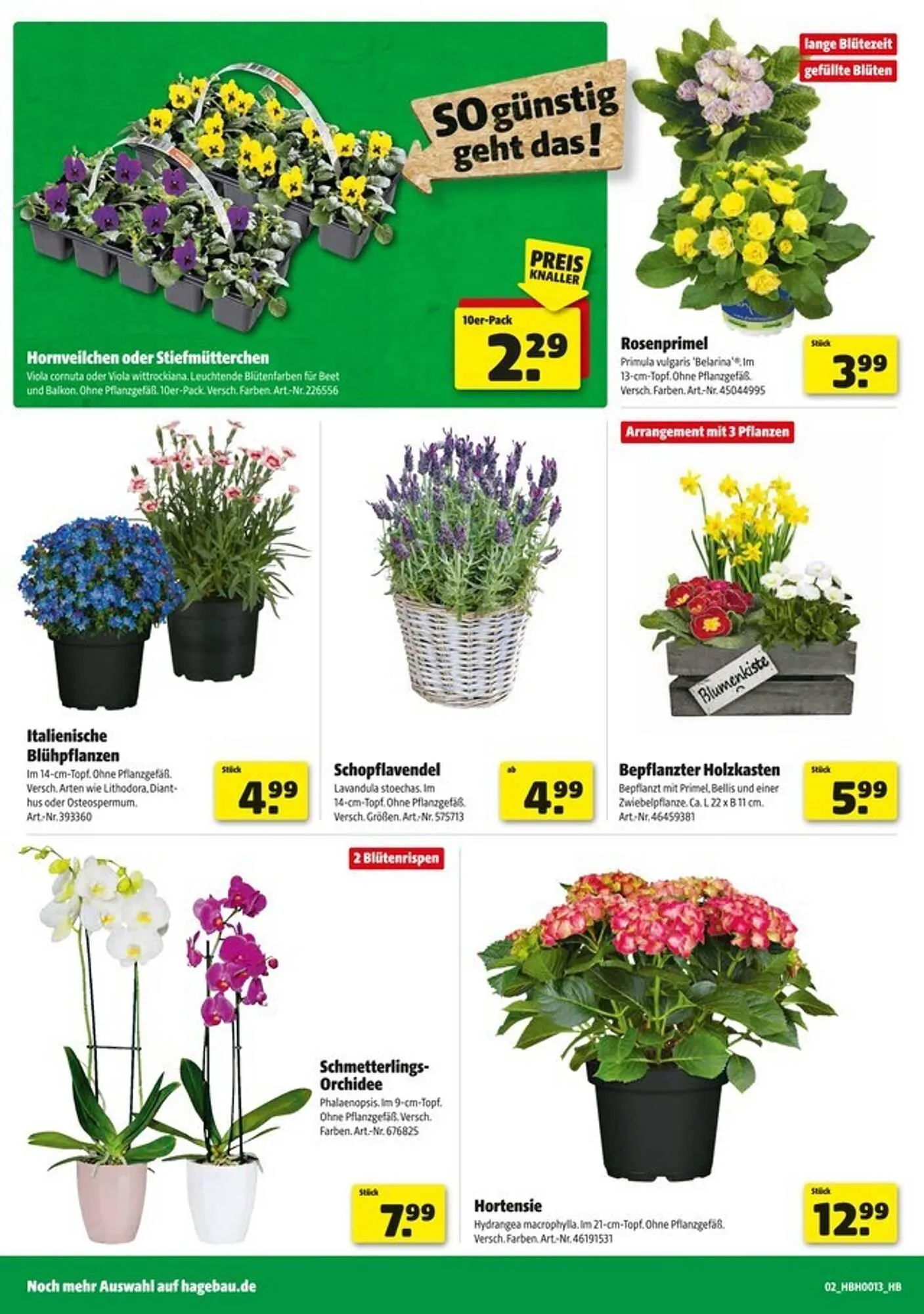 Hagebau Prospekt von 22. März bis 29. März 2025 - Prospekt seite 2