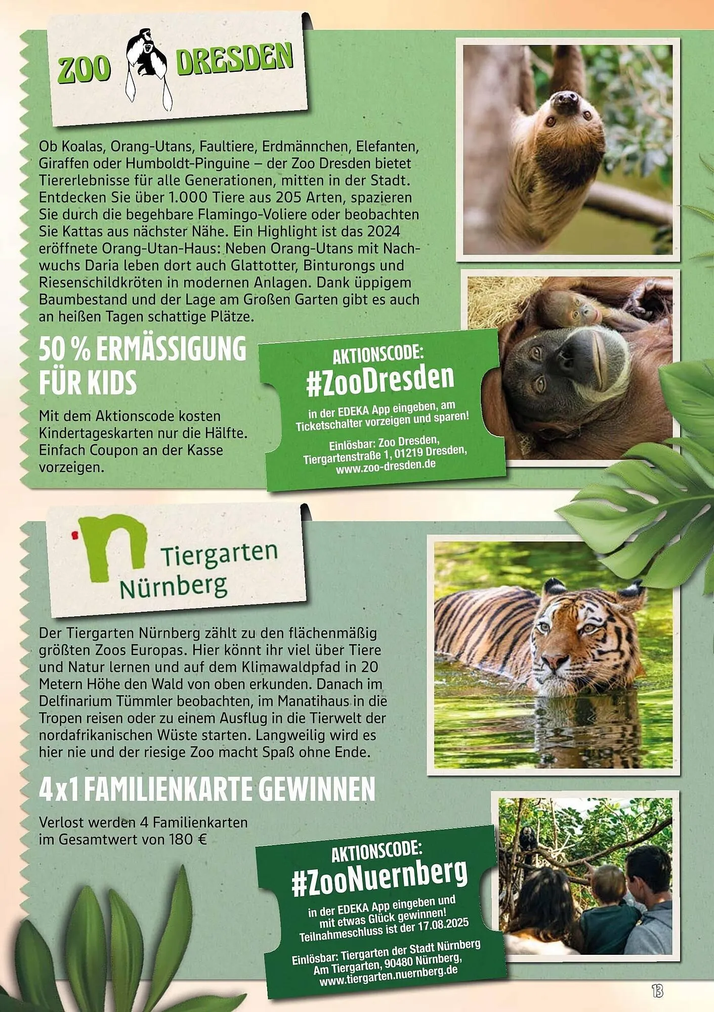 Edeka Prospekt von 23. Juni bis 30. September 2025 - Prospekt seite 13