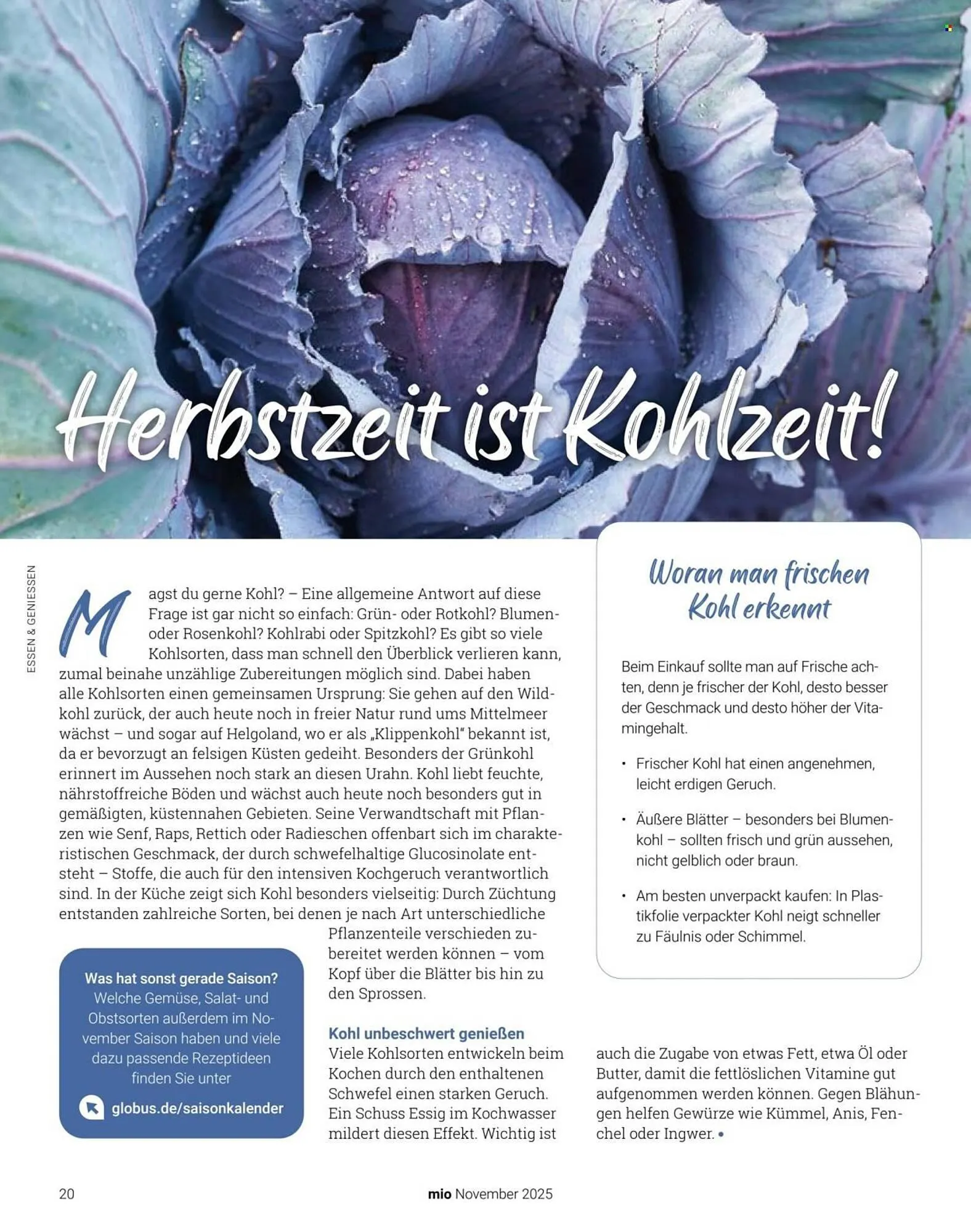 Globus Prospekt von 1. November bis 30. November 2025 - Prospekt seite 20