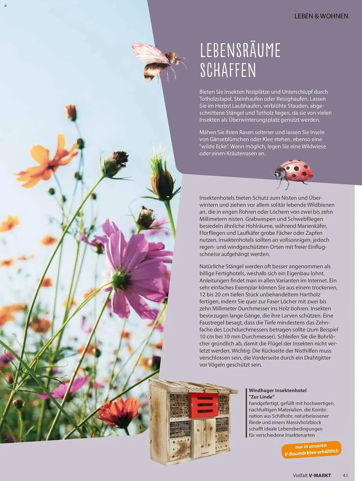 V Markt Magazin von 1. Mai bis 30. Juni 2026 - Prospekt seite 41