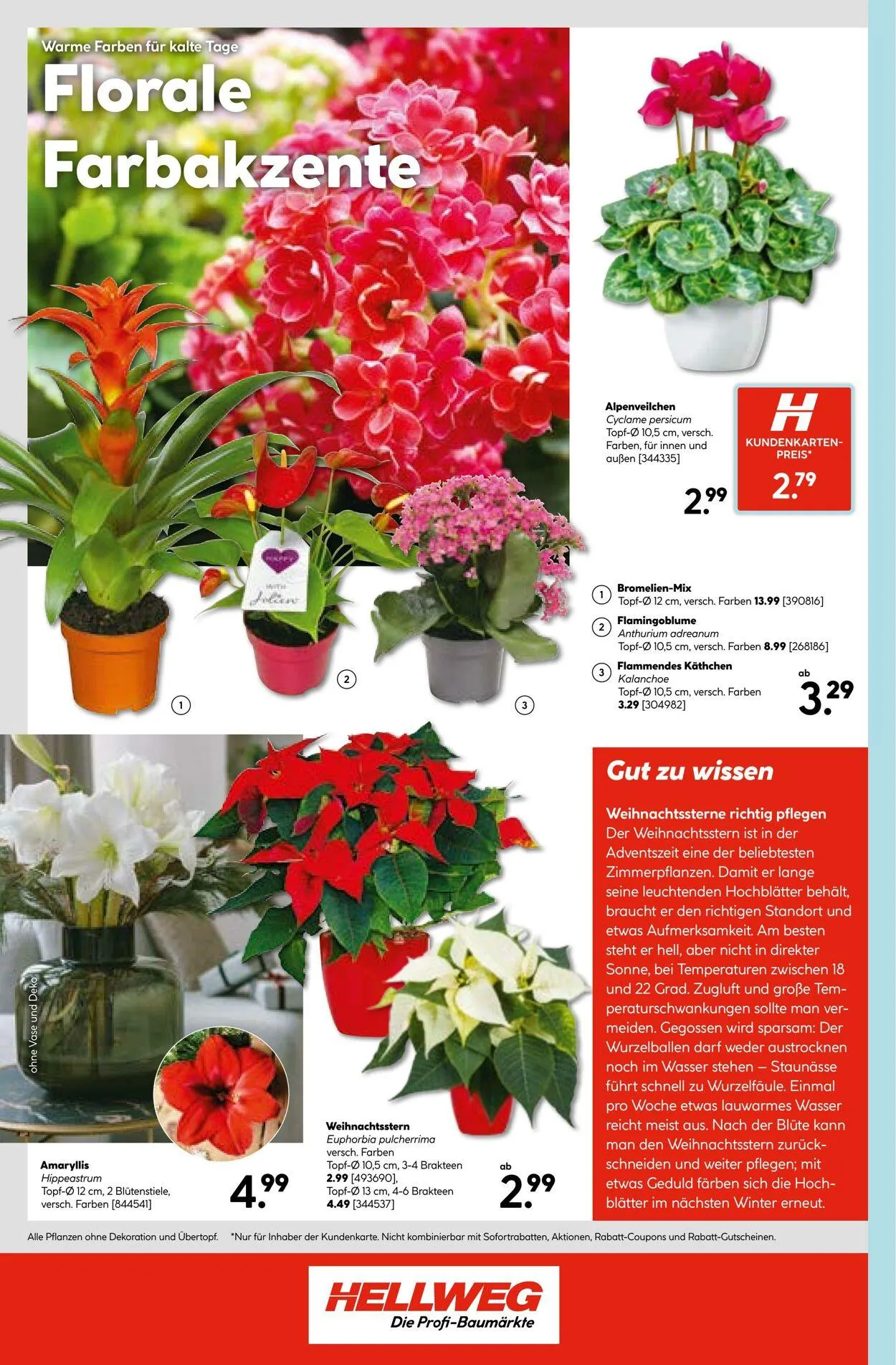 Hellweg Aktueller Prospekt von 16. Februar bis 2. März 2026 - Prospekt seite 24