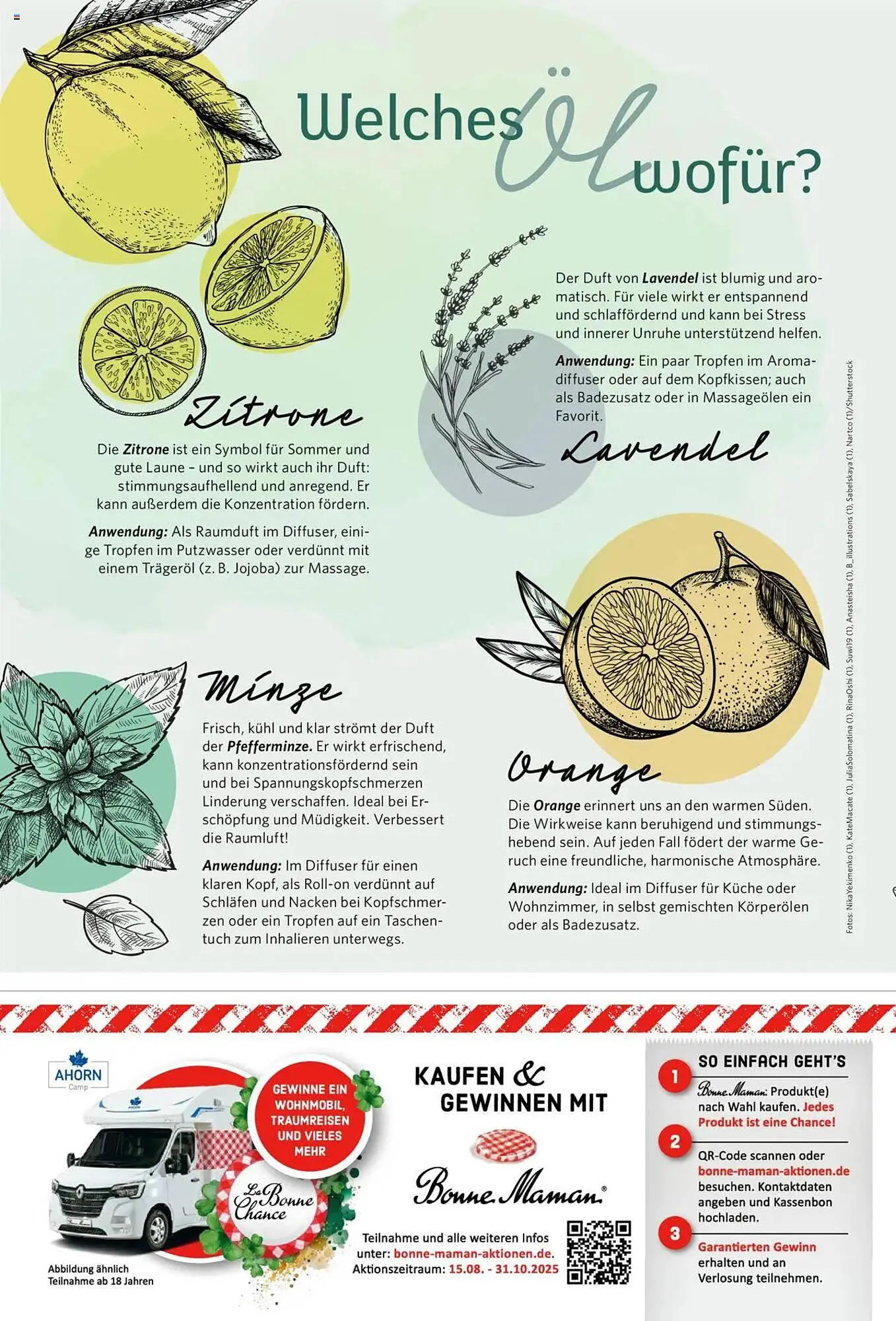 Combi Prospekt von 1. September bis 30. September 2026 - Prospekt seite 66