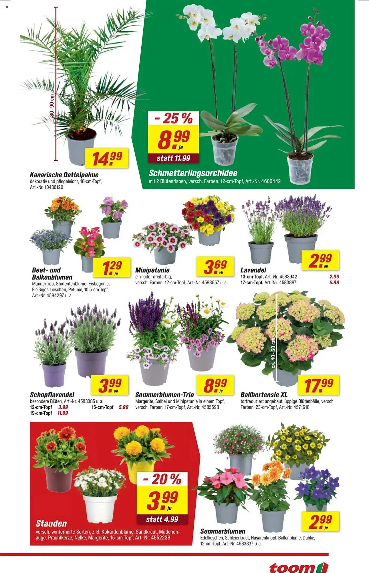 toom Baumarkt Prospekt von 21. Juni bis 27. Juni 2025 - Prospekt seite 3