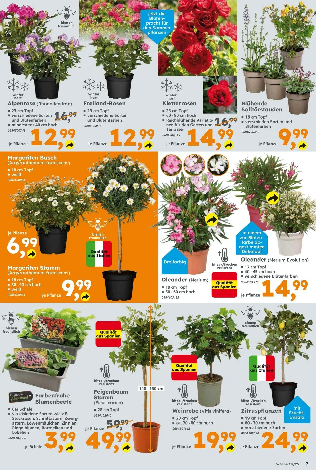 Globus Baumarkt Aktueller Prospekt von 27. April bis 3. Mai 2025 - Prospekt seite 7