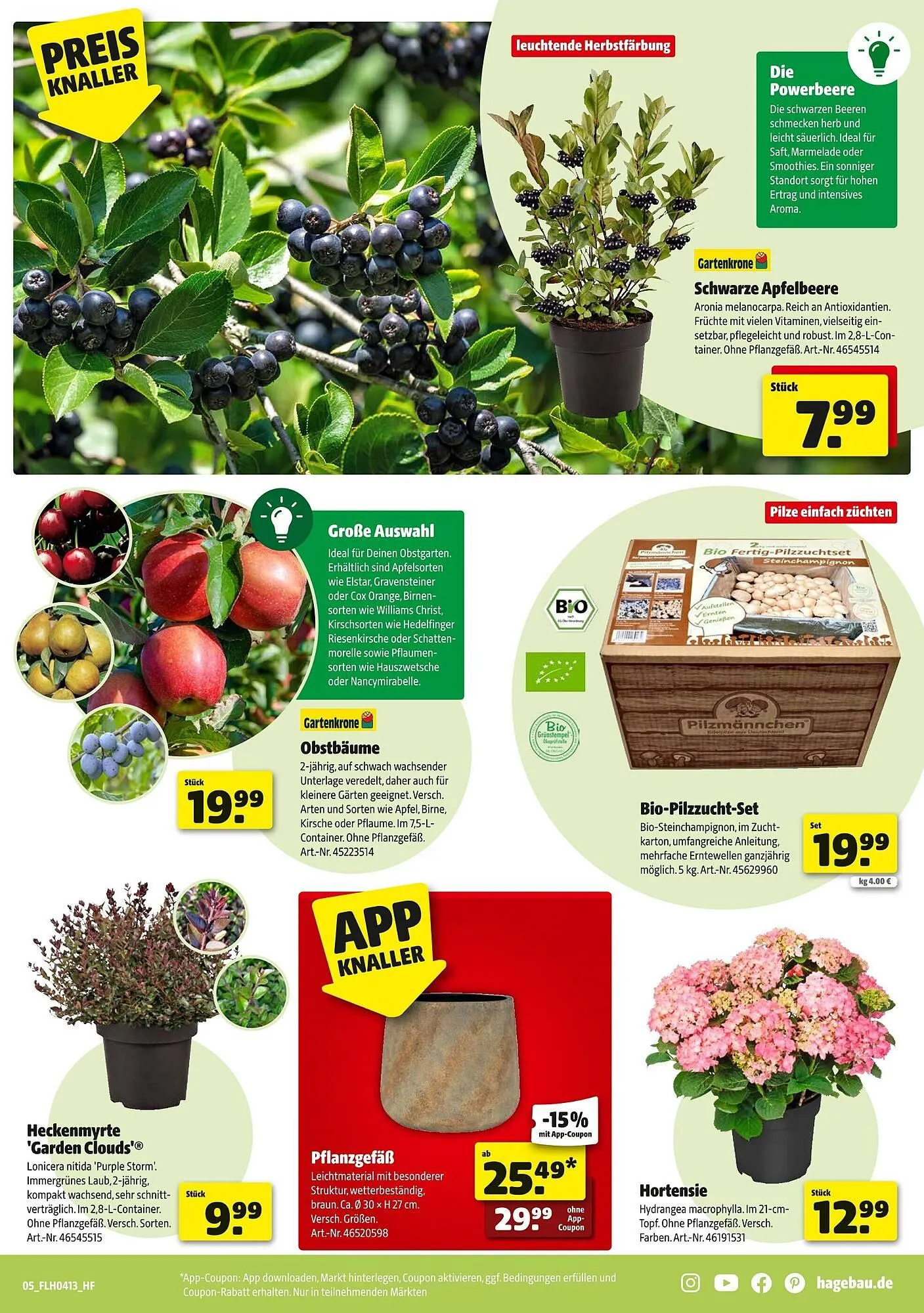 Hagebau Prospekt von 21. März bis 28. März 2026 - Prospekt seite 5