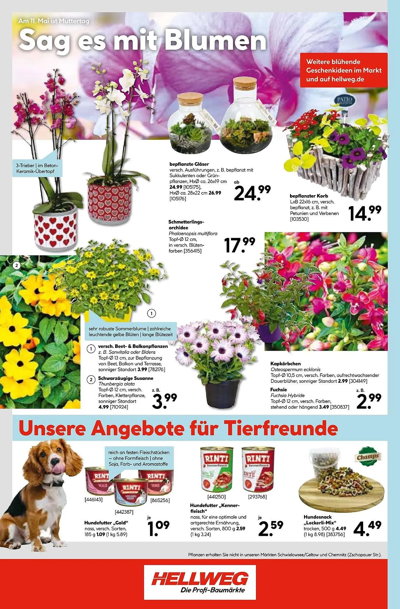 Hellweg Prospekt von 5. Mai bis 13. Mai 2025 - Prospekt seite 24
