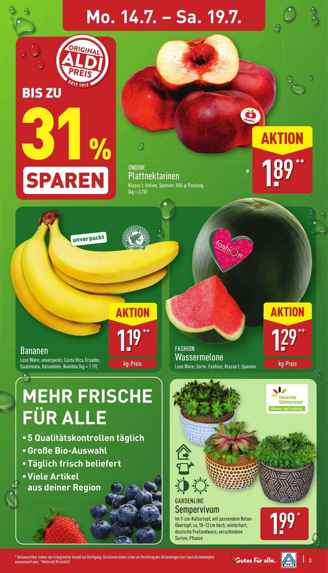 Aldi-Nord von 14. Juli bis 19. Juli 2025 - Prospekt seite 3