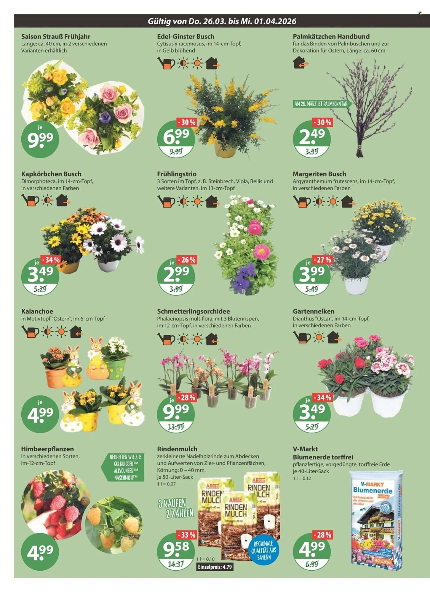 V Markt Prospekt von 26. März bis 1. April 2026 - Prospekt seite 26