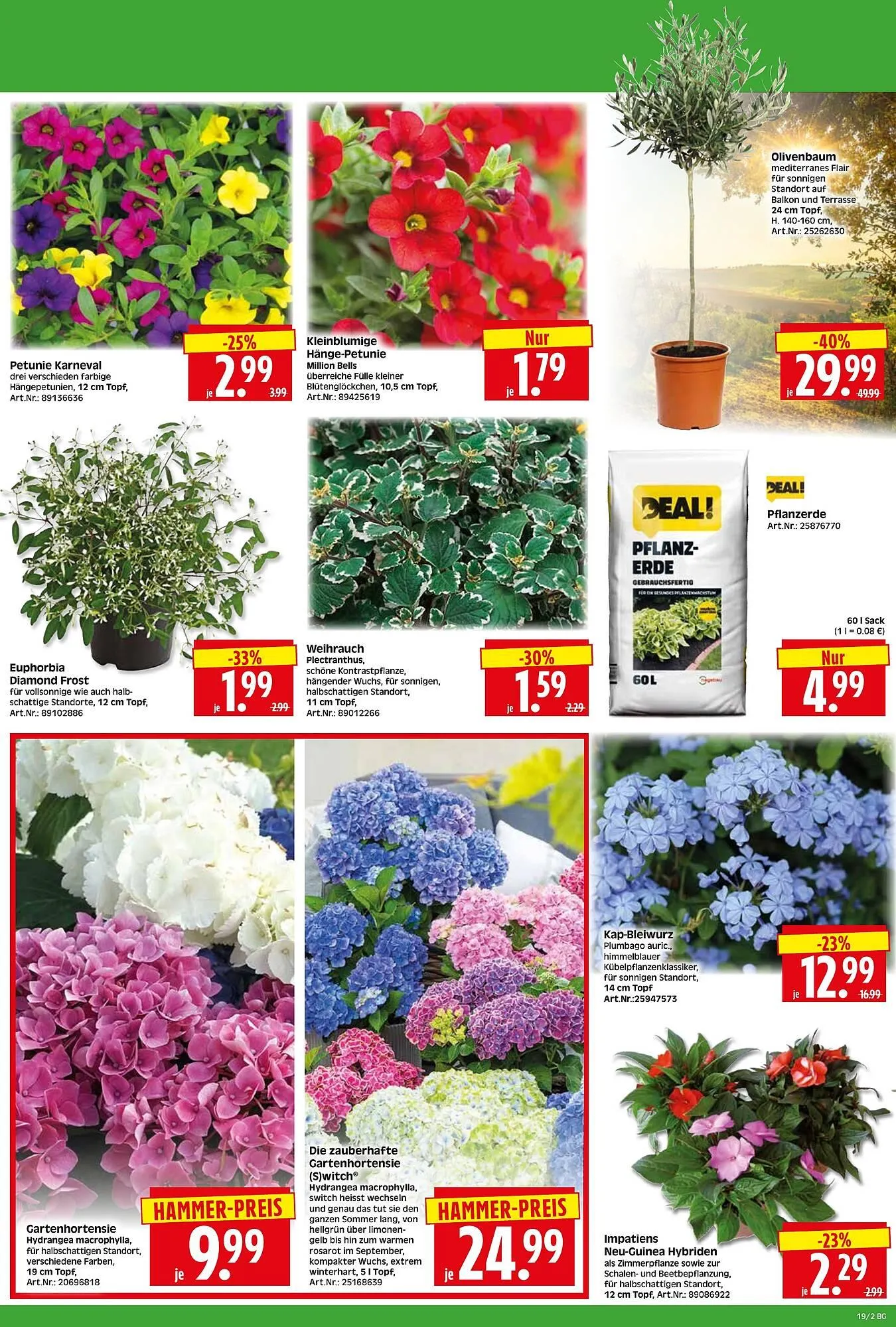 Herkules Baumarkt Prospekt von 4. Mai bis 9. Mai 2026 - Prospekt seite 2