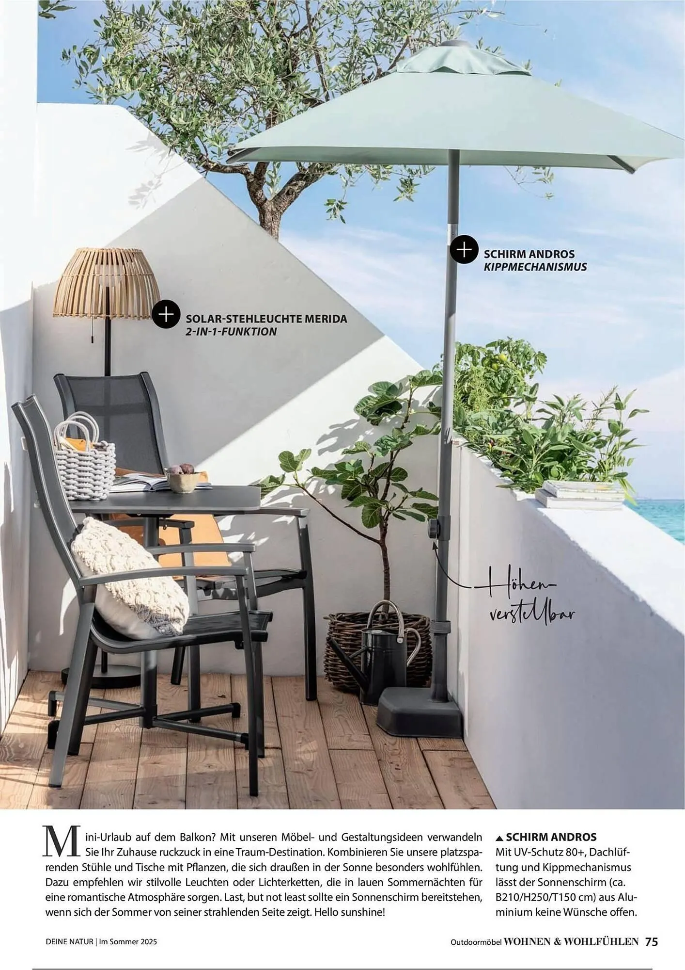 Dehner Prospekt von 1. Juli bis 31. Dezember 2025 - Prospekt seite 75