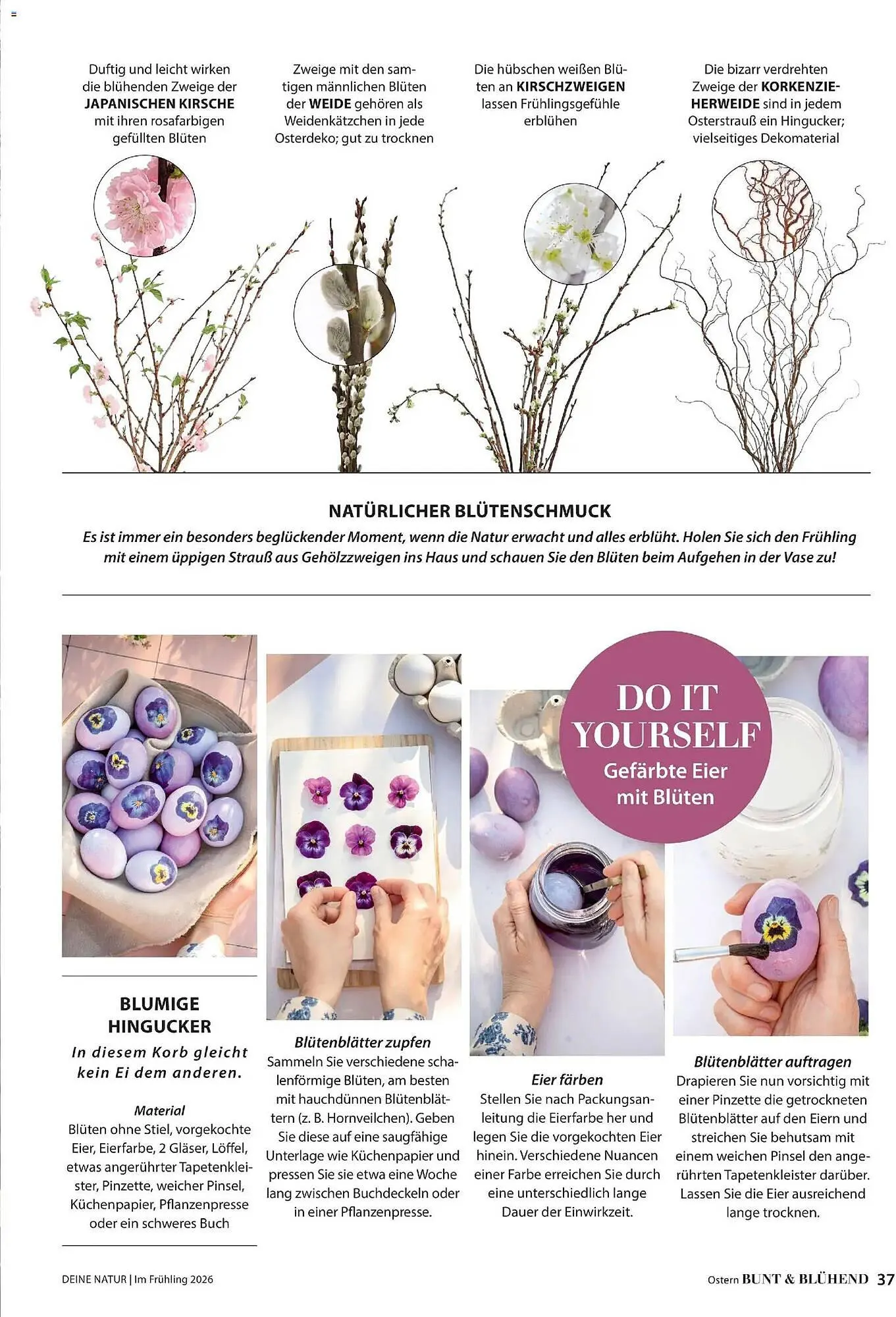 Dehner Prospekt von 4. März bis 31. Mai 2026 - Prospekt seite 37