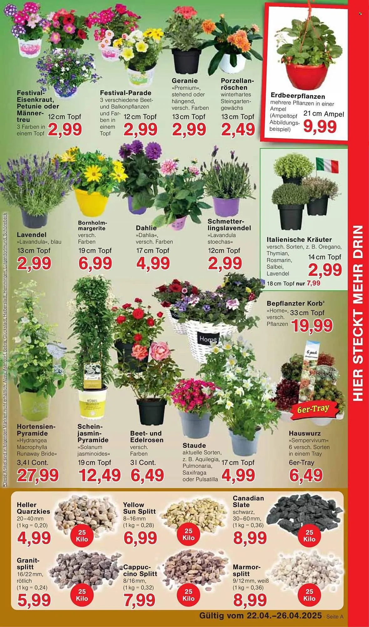 Jawoll Prospekt von 22. April bis 26. April 2025 - Prospekt seite 7