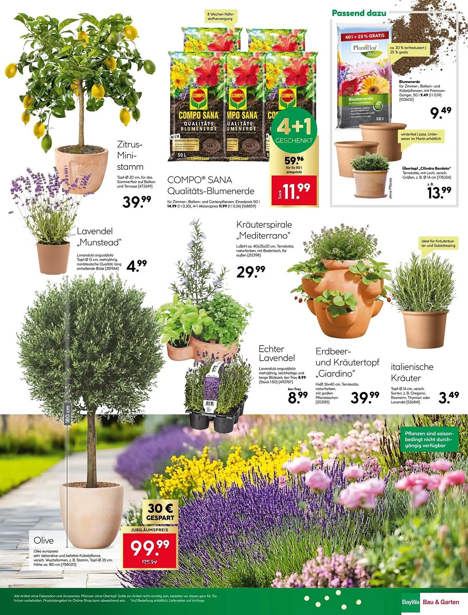 BayWa Bau & Garten Prospekt von 30. März bis 5. April 2026 - Prospekt seite 29