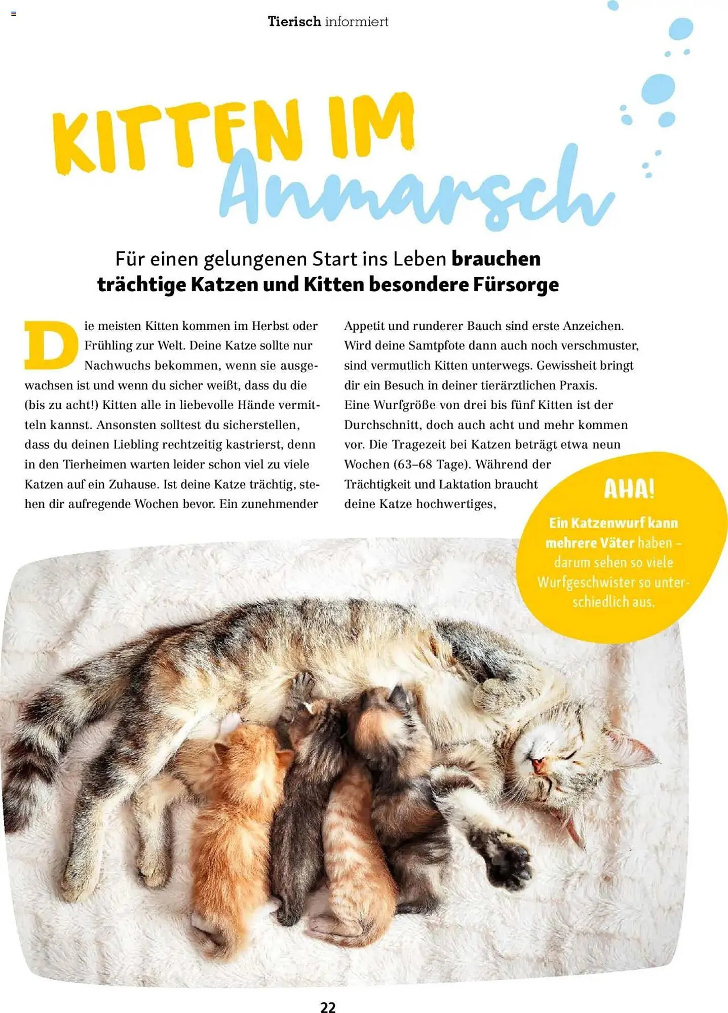 Fressnapf Magazin von 1. September bis 31. Oktober 2025 - Prospekt seite 22