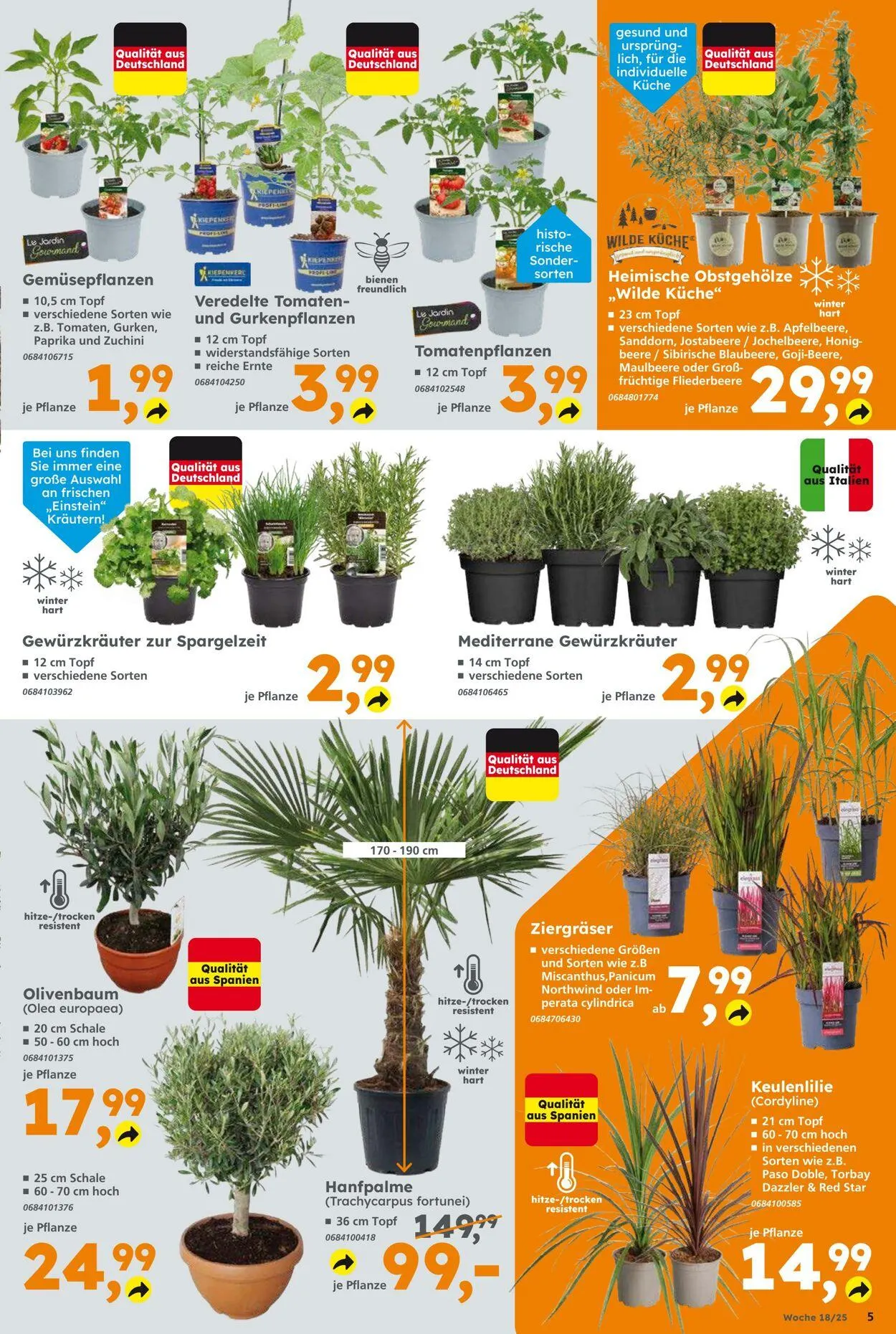 Globus Baumarkt Aktueller Prospekt von 27. April bis 3. Mai 2025 - Prospekt seite 5