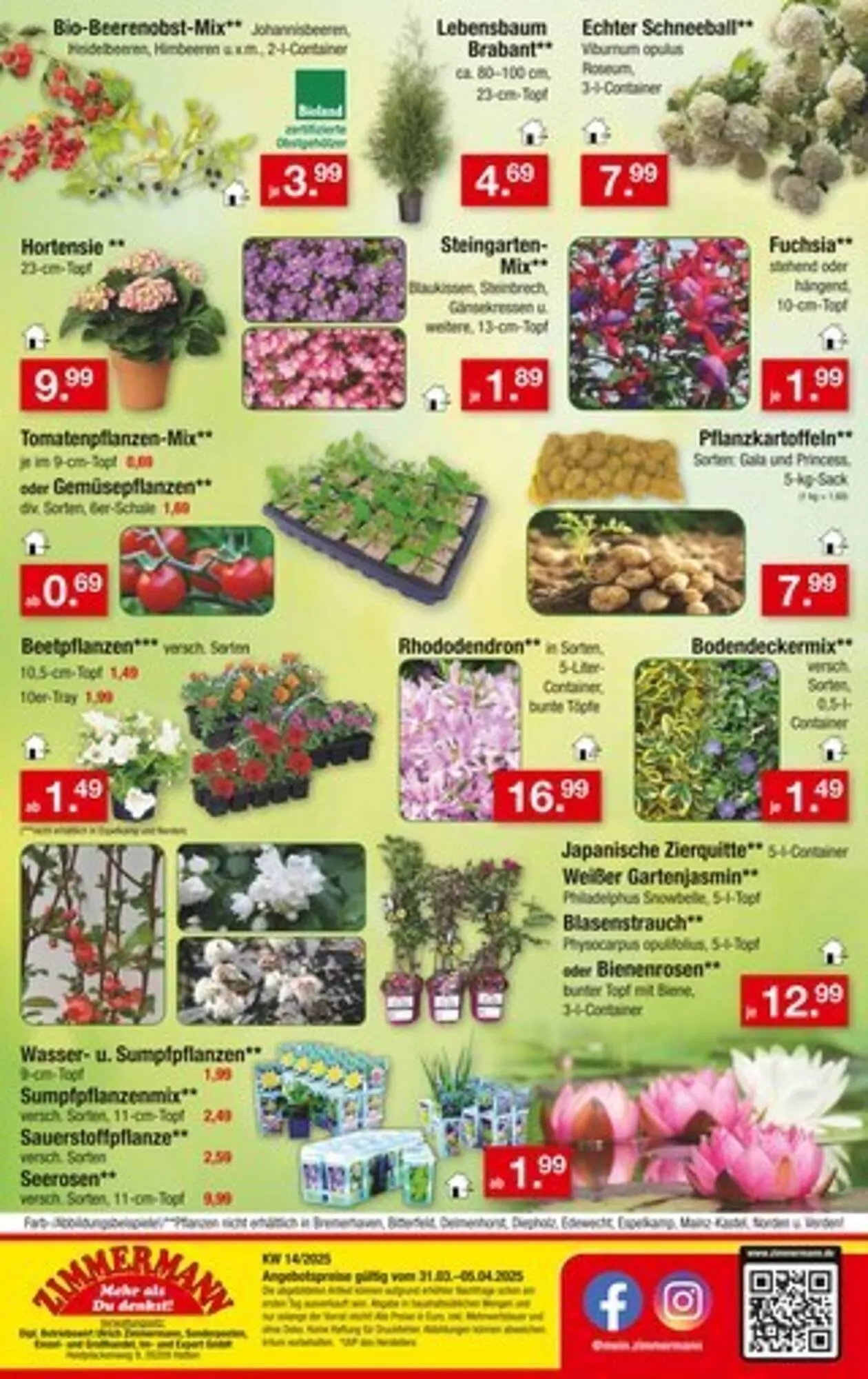 Zimmermann Prospekt von 31. März bis 5. April 2025 - Prospekt seite 10