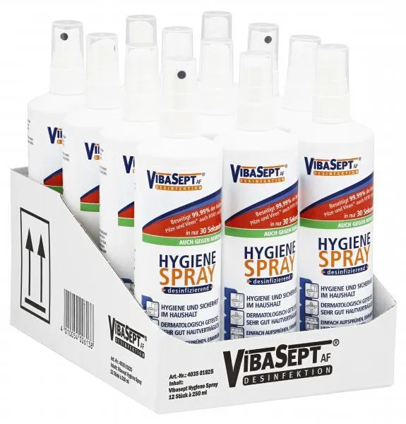 VibaSept Hygienespray 12 x 0,25 l