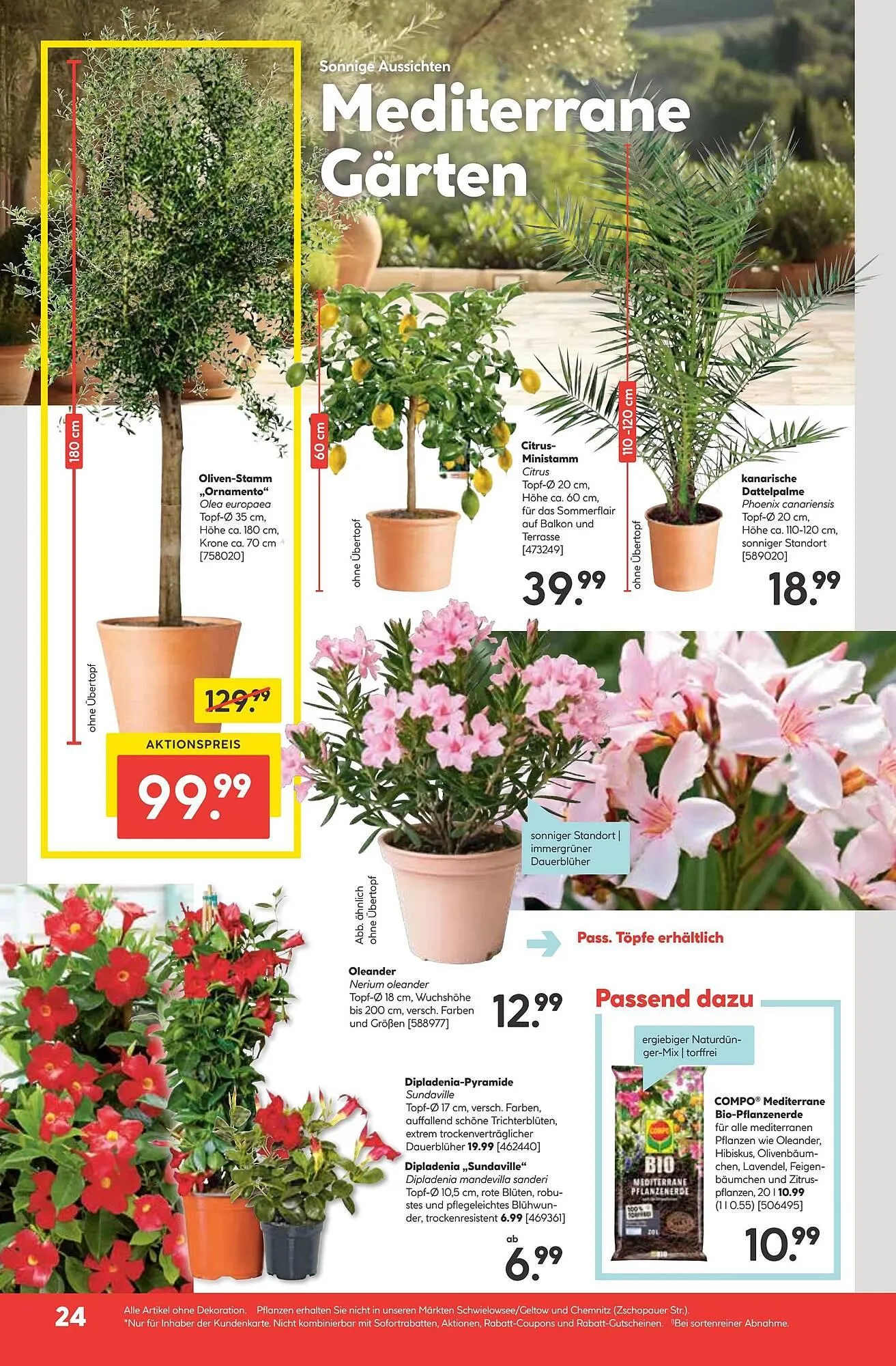 Hellweg Prospekt von 28. April bis 3. Mai 2025 - Prospekt seite 26